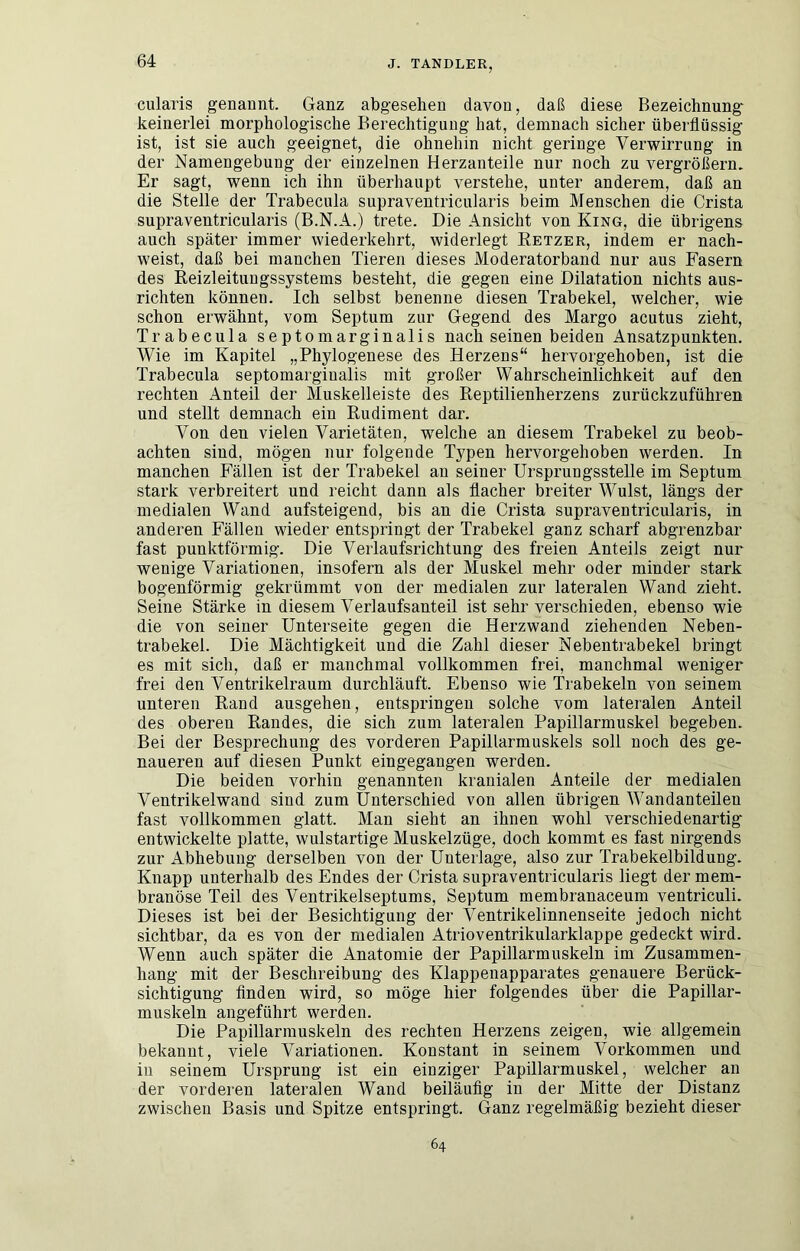 cularis genannt. Ganz abgesehen davon, daß diese Bezeichnung^ keinerlei morphologische Berechtigung hat, demnach sicher überflüssig ist, ist sie auch geeignet, die ohnehin nicht geringe Verwirrung in der Namengebung der einzelnen Herzanteile nur noch zu vergrößern. Er sagt, wenn ich ihn überhaupt verstehe, unter anderem, daß an die Stelle der Trabecula supraventricularis beim Menschen die Crista supraventricularis (B.N.A.) trete. Die Ansicht von King, die übrigens auch später immer wiederkehrt, widerlegt Ketzer, indem er nach- weist, daß bei manchen Tieren dieses Moderatorband nur aus Fasern des Reizleitungssystems besteht, die gegen eine Dilatation nichts aus- richten können. Ich selbst benenne diesen Trabekel, welcher, wie schon erwähnt, vom Septum zur Gegend des Margo acutus zieht, Trabecula septomarginalis nach seinen beiden Ansatzpunkten. Wie im Kapitel „Phylogenese des Herzens“ hervorgehoben, ist die Trabecula septomarginalis mit großer Wahrscheinlichkeit auf den rechten Anteil der Muskelleiste des Reptilienherzens zurückzuführen und stellt demnach ein Rudiment dar. Von den vielen Varietäten, welche an diesem Trabekel zu beob- achten sind, mögen nur folgende Typen hervorgehoben werden. In manchen Fällen ist der Trabekel an seiner Ursprungsstelle im Septum stark verbreitert und reicht dann als flacher breiter Wulst, längs der medialen Wand aufsteigend, bis an die Crista supraventricularis, in anderen Fällen wieder entspringt der Trabekel ganz scharf abgrenzbar fast punktförmig. Die Verlaufsrichtung des freien Anteils zeigt nur wenige Variationen, insofern als der Muskel mehr oder minder stark bogenförmig gekrümmt von der medialen zur lateralen Wand zieht. Seine Stärke in diesem Verlaufsanteil ist sehr verschieden, ebenso wie die von seiner Unterseite gegen die Herzwand ziehenden Neben- trabekel. Die Mächtigkeit und die Zahl dieser Nebentrabekel bringt es mit sich, daß er manchmal vollkommen frei, manchmal weniger frei den Ventrikelraum durchläuft. Ebenso wie Trabekeln von seinem unteren Rand ausgehen, entspringen solche vom lateralen Anteil des oberen Randes, die sich zum lateralen Papillarmuskel begeben. Bei der Besprechung des vorderen Papillarmuskels soll noch des ge- naueren auf diesen Punkt eingegangen werden. Die beiden vorhin genannten kranialen Anteile der medialen Ventrikelwand sind zum Unterschied von allen übrigen Wandanteilen fast vollkommen glatt. Man sieht an ihnen wohl verschiedenartig entwickelte platte, wulstartige Muskelzüge, doch kommt es fast nirgends zur Abhebung derselben von der Unterlage, also zur Trabekelbildung. Knapp unterhalb des Endes der Crista supraventricularis liegt der mem- branöse Teil des Ventrikelseptums, Septum membranaceum ventriculi. Dieses ist bei der Besichtigung der Ventrikelinnenseite jedoch nicht sichtbar, da es von der medialen Atrioventrikularklappe gedeckt wird. Wenn auch später die Anatomie der Papillarmuskeln im Zusammen- hang mit der Beschreibung des Klappenapparates genauere Berück- sichtigung Anden wird, so möge hier folgendes über die Papillar- muskeln angeführt werden. Die Papillarmuskeln des rechten Herzens zeigen, wie allgemein bekannt, viele Variationen. Konstant in seinem Vorkommen und in seinem Ursprung ist ein einziger Papillarmuskel, welcher an der vorderen lateralen Wand beiläuflg in der Mitte der Distanz zwischen Basis und Spitze entspringt. Ganz regelmäßig bezieht dieser 64