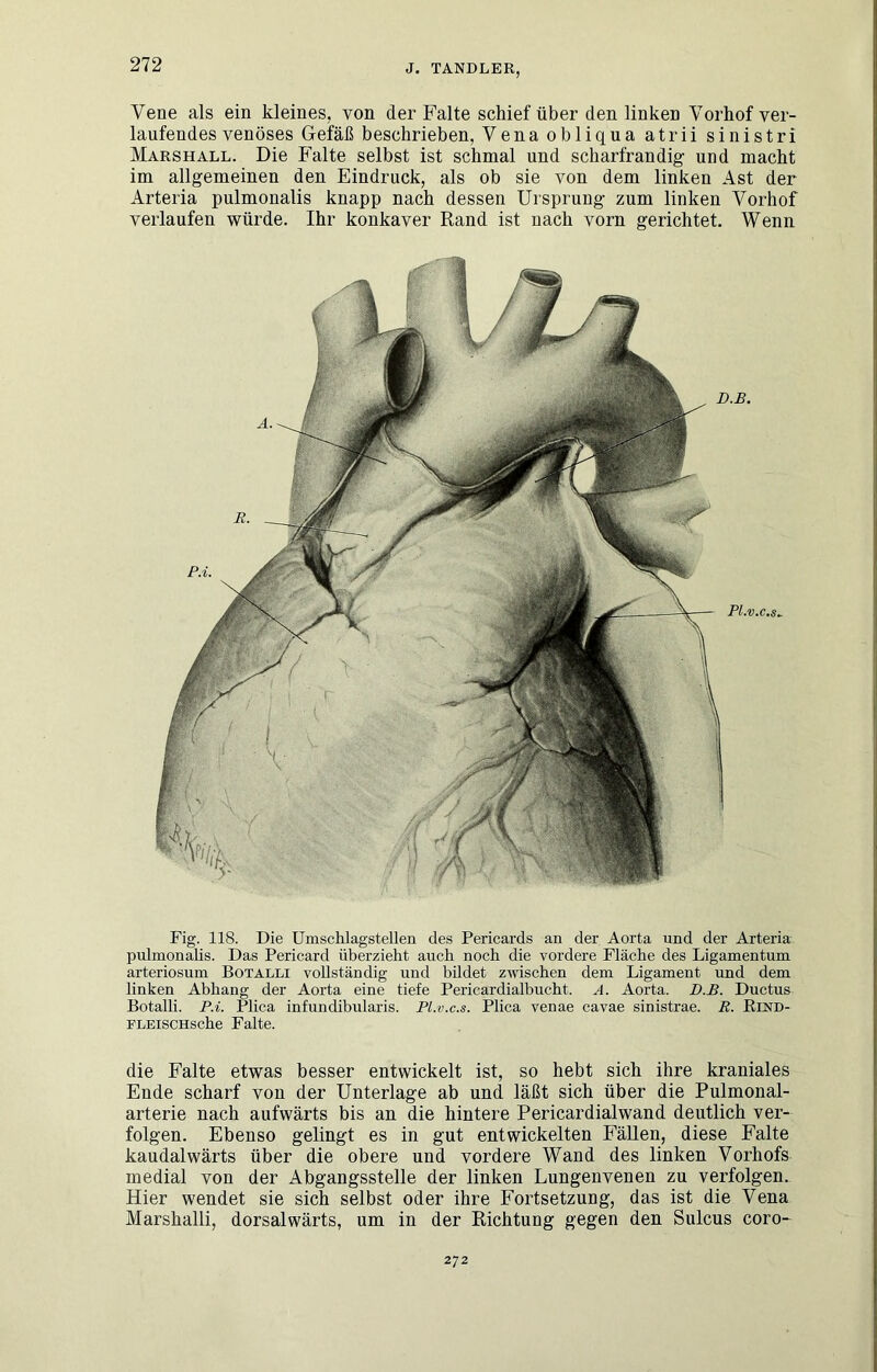 Fig. 118. Die Umschlagstellen des Pericards an der Aorta und der Arteria pulmonalis. Das Pericard überzieht auch noch die vordere Fläche des Ligamentum arteriosum Botalli vollständig und bildet zwischen dem Ligament und dem linken Abhang der Aorta eine tiefe Pericardialbucht. A. Aorta. D.B. Ductus Botalli. P.i. Plica infundibularis. Pl.v.c.s. Plica venae cavae sinistrae. R. Eind- FLEisCHsche Falte. die Falte etwas besser entwickelt ist, so hebt sich ihre kraniales Ende scharf von der Unterlage ab und läßt sich über die Pulmonal- arterie nach aufwärts bis an die hintere Pericardialwand deutlich ver- folgen. Ebenso gelingt es in gut entwickelten Fällen, diese Falte kaudalwärts über die obere und vordere Wand des linken Vorhofs medial von der Abgangsstelle der linken Lungenvenen zu verfolgen. Hier wendet sie sich selbst oder ihre Fortsetzung, das ist die Vena Marshalli, dorsalwärts, um in der Richtung gegen den Sulcus coro- Vene als ein kleines, von der Falte schief über den linken Vorhof ver- laufendes venöses Gefäß beschrieben, Venaobliqua atrii sinistri Marshall. Die Falte selbst ist schmal und scharfrandig und macht im allgemeinen den Eindruck, als ob sie von dem linken Ast der Arteria pulmonalis knapp nach dessen Ursprung zum linken Vorhof verlaufen würde. Ihr konkaver Rand ist nach vorn gerichtet. Wenn D.B. p.i. Pl.v.c.s.. 272