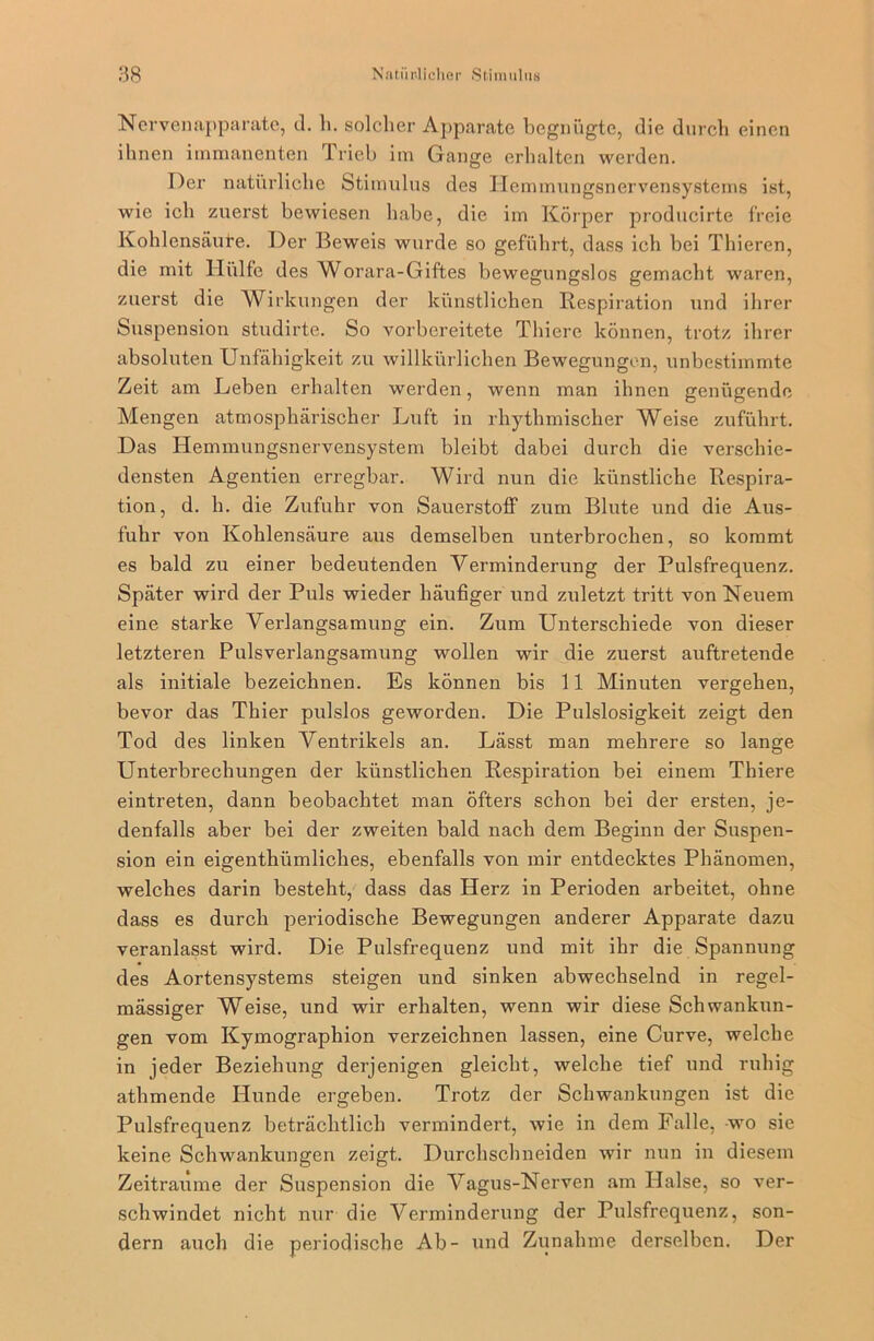 Nervenapparate, d. h. solcher Apparate begnügte, die durch einen ihnen immanenten Trieb im Gange erhalten werden. Der natürliche Stimulus des Hemmungsnervensystems ist, wie ich zuerst bewiesen habe, die im Körper producirte freie Kohlensäure. Der Beweis wurde so geführt, dass ich bei Thieren, die mit Hülfe des Worara-Giftes bewegungslos gemacht waren, zuerst die Wirkungen der künstlichen Respiration und ihrer Suspension studirte. So vorbereitete Thiere können, trotz ihrer absoluten Unfähigkeit zu willkürlichen Bewegungen, unbestimmte Zeit am Leben erhalten werden, wenn man ihnen genügende Mengen atmosphärischer Luft in rhythmischer Weise zuführt. Das Hemmungsnervensystem bleibt dabei durch die verschie- densten Agentien erregbar. Wird nun die künstliche Respira- tion, d. h. die Zufuhr von Sauerstoff zum Blute und die Aus- fuhr von Kohlensäure aus demselben unterbrochen, so kommt es bald zu einer bedeutenden Verminderung der Pulsfrequenz. Später wird der Puls wieder häufiger und zuletzt tritt von Neuem eine starke Verlangsamung ein. Zum Unterschiede von dieser letzteren Pulsverlangsamung wollen wir die zuerst auftretende als initiale bezeichnen. Es können bis 11 Minuten vergehen, bevor das Thier pulslos geworden. Die Pulslosigkeit zeigt den Tod des linken Ventrikels an. Lässt man mehrere so lange Unterbrechungen der künstlichen Respiration bei einem Thiere eintreten, dann beobachtet man öfters schon bei der ersten, je- denfalls aber bei der zweiten bald nach dem Beginn der Suspen- sion ein eigenthümliches, ebenfalls von mir entdecktes Phänomen, welches darin besteht, dass das Herz in Perioden arbeitet, ohne dass es durch periodische Bewegungen anderer Apparate dazu veranlasst wird. Die Pulsfrequenz und mit ihr die Spannung des Aortensystems steigen und sinken abwechselnd in regel- mässiger Weise, und wir erhalten, wenn wir diese Schwankun- gen vom Kymographion verzeichnen lassen, eine Curve, welche in jeder Beziehung derjenigen gleicht, welche tief und ruhig athmende Hunde ergeben. Trotz der Schwankungen ist die Pulsfrequenz beträchtlich vermindert, wie in dem Falle, -wo sie keine Schwankungen zeigt. Durchschneiden wir nun in diesem Zeiträume der Suspension die Vagus-Nerven am Halse, so ver- schwindet nicht nur die Verminderung der Pulsfrequenz, son- dern auch die periodische Ab- und Zunahme derselben. Der