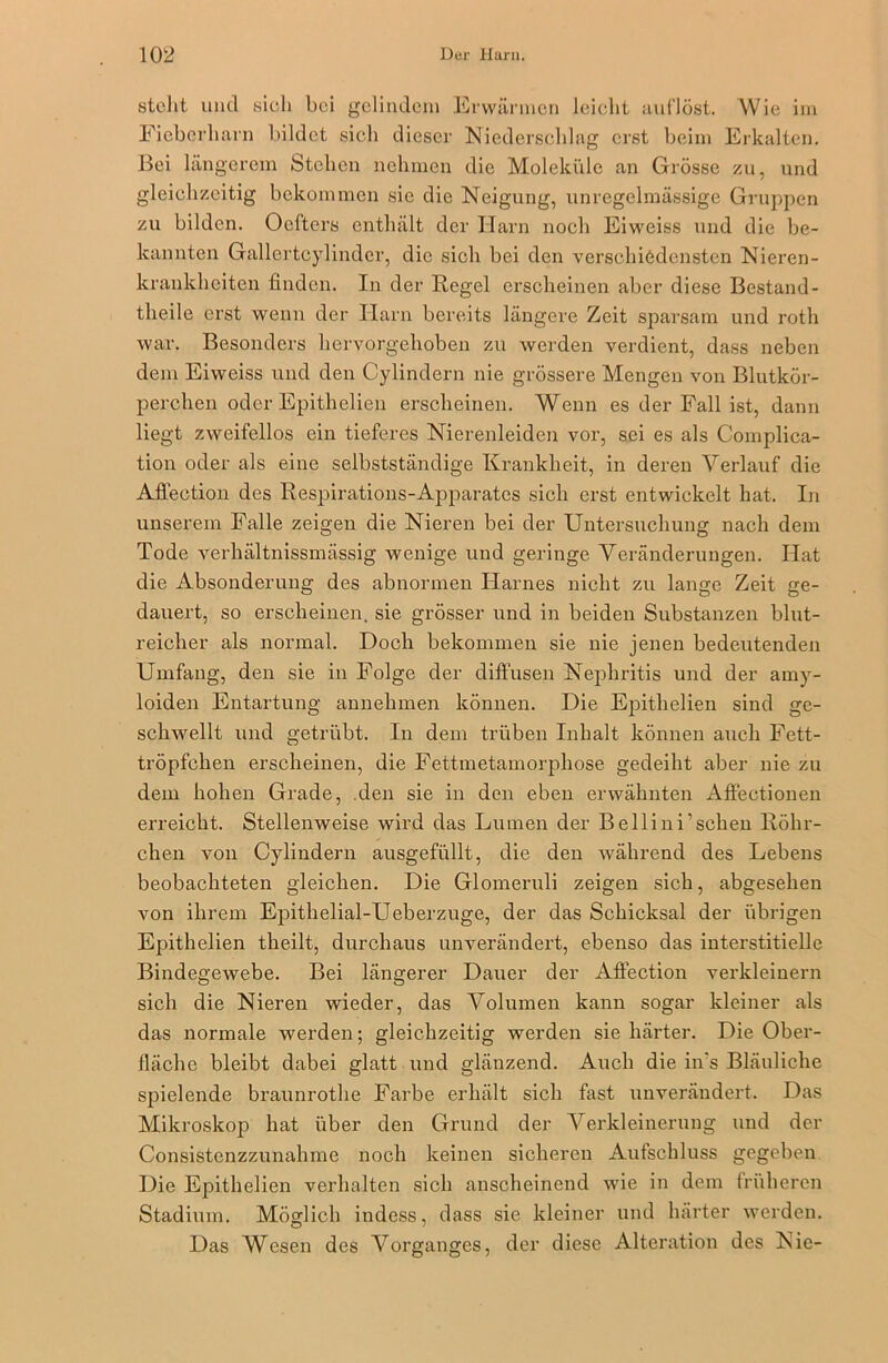 stellt und sieh bei gelindem Erwärmen leicht auflöst. Wie im Fieberharn bildet sich dieser Niederschlag erst beim Erkalten. Bei längerem Stehen nehmen die Moleküle an Grösse zu, und gleichzeitig bekommen sie die Neigung, unregelmässige Gruppen zu bilden. Oefters enthält der Harn noch Eiweiss und die be- kannten Gallertcylinder, die sich bei den verschiedensten Nieren- krankheiten finden. In der Hegel erscheinen aber diese Bestand- teile erst wenn der Harn bereits längere Zeit sparsam und roth war. Besonders hervorgehoben zu werden verdient, dass neben dem Eiweiss und den Cylindern nie grössere Mengen von Blutkör- perchen oder Epithelien erscheinen. Wenn es der Fall ist, dann liegt zweifellos ein tieferes Nierenleiden vor, sei es als Complica- tion oder als eine selbstständige Krankheit, in deren Verlauf die Affection des Respirations-Apparates sich erst entwickelt hat. In unserem Falle zeigen die Nieren bei der Untersuchung nach dem Tode verliältnissmässig wenige und geringe Veränderungen. Hat die Absonderung des abnormen Harnes nicht zu lange Zeit ge- dauert, so erscheinen, sie grösser und in beiden Substanzen blut- reicher als normal. Doch bekommen sie nie jenen bedeutenden Umfang, den sie in Folge der diffusen Nephritis und der amy- loiden Entartung annehmen können. Die Epithelien sind ge- schwellt und getrübt. In dem trüben Inhalt können auch Fett- tröpfchen erscheinen, die Fettmetamorphose gedeiht aber nie zu dem hohen Grade, den sie in den eben erwähnten Affectionen erreicht. Stellenweise wird das Lumen der Bellini’sehen Röhr- chen von Cylindern ausgefüllt, die den während des Lebens beobachteten gleichen. Die Glomeruli zeigen sich, abgesehen von ihrem Epithelial-Ueberzuge, der das Schicksal der übrigen Epithelien theilt, durchaus unverändert, ebenso das interstitielle Bindegewebe. Bei längerer Dauer der Affection verkleinern sich die Nieren wieder, das Volumen kann sogar kleiner als das normale werden; gleichzeitig werden sie härter. Die Ober- fläche bleibt dabei glatt und glänzend. Auch die in's Bläuliche spielende braunrothe Farbe erhält sich fast unverändert. Das Mikroskop hat über den Grund der Verkleinerung und der Consistenzzunahme noch keinen sicheren Aufschluss gegeben Die Epithelien verhalten sich anscheinend wie in dem früheren Stadium. Möglich indess, dass sie kleiner und härter werden. Das Wesen des Vorganges, der diese Alteration des Nie-