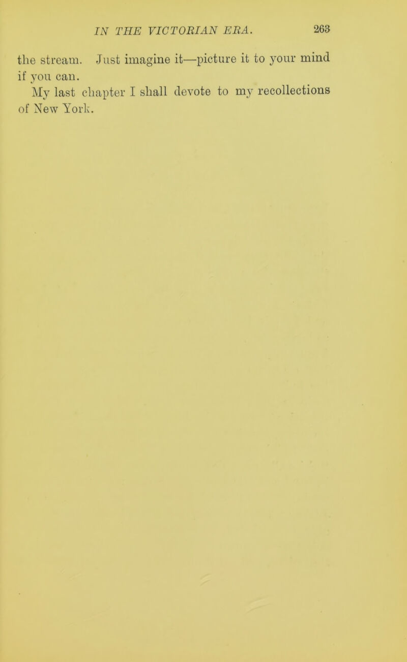 the stream. Just imagine it—picture it to your mind if you can. My last chapter I shall devote to my recollections of New York.