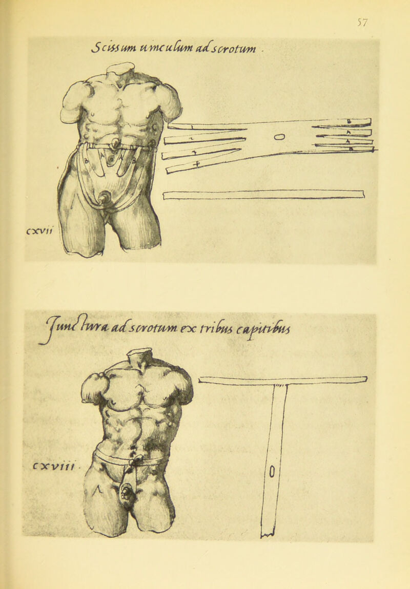 Scitsum ti mcuCum a/scrotum cxv/Y g, &<fs c/rotitm dc fri (nu cdpUv^H-i U