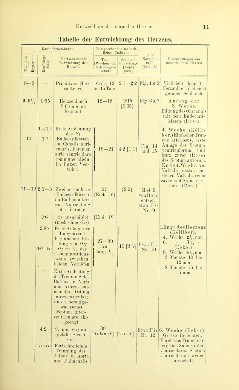 Begattung Entsprechendes mensch- liebes Embryon Tage Scheitel- [Woeben] der Steisslänge Schwanger- [Kopf] schaft (mm) Kaninclienembryon Fortschreitende Entwicklung des Herzens His’ Normen- tafel (Tafel X) Beobachtungen am menschlichen Herzen 8-9 9-9 ■/, 10 11—12 0-95 1—1-7 1-7 2- 5-3 2-6 2-85 3- 0-3-5 4-2 4'5-5‘5 Primitives Herz- säckchen Herzsehlauch S-förmig ge- krümmt Erste Andeutung des Sj Endocardkissen im Canalis auri- cularis, Foramen atrio ventriculare commune allein im linken Ven- trikel Zwei gesonderte Endocardkissen im Bulbus arteri- osus, Aufrichtung der Vorhöfe Si ausgebildet (noch ohne Ou) Erste Anlage der Lungenvene Beginnende Bil- dung von Ou Oi = V3 der Communications- weite zwischen beiden Vorhöfen Erste Andeutung derTrennung des Bulbus in Aorta und Arteria pul- monalis. Ostium interventriculare durch heraufge- wachsenes Septum inter- ventriculare ein- geengt Oi und Ou un- gefähr gleich gross Fortschreitende Trennung des Bulbus in Aorta und Pulmonalis Circa 12 bis 15 Tage 12—15 \ 18-21 27 [Ende IV] [Ende IV] 2-1—2-2 2-15 [0 65] Fig. 1 u.2 Fig. 6u.7 4-2 [1-1] [2-9] 27-30 . [An- } 10 [3-5] fang V] - 30 [AnfangV] Fig. und Modell vonBorn entspr. etwa His Kr. 9 Etwa His Nr. 10 [4-5—5] Etwa FI i s Nr. 12 Vielleicht doppelte Herzanlage. Vielleicht gerader Schlauch Anfang der 3. Woche. Bildung des Ohrcanals mit dem Endocard- kissen (Hösel 4. Woche (Kölli- k e r.) Einfacher Trun- cus arteriosu-s, erste Anlage des Septum ventrieulorum und kurz zuvor (Eöse) des Septum atriorum. E n d e 4. Wo c h e. Aus Valvula dextra ent- stehen Valvula venae cavae und Sinus coro- narii (Rose) Länge desHerzens (Kölliker). 4. Woche 2^3 mm 6. » 3'/3 » (Ecker) 8. Woche 41/3mm 3 Monate 10 bis 12 mm 8 Monate 15 bis 17 mm 6. Woche (Ecker). Grosse Herzohren, Furche amTruncus ar- teriosus, Sulcus inter- ventricularis, Septum ventrieulorum weiter entwickelt