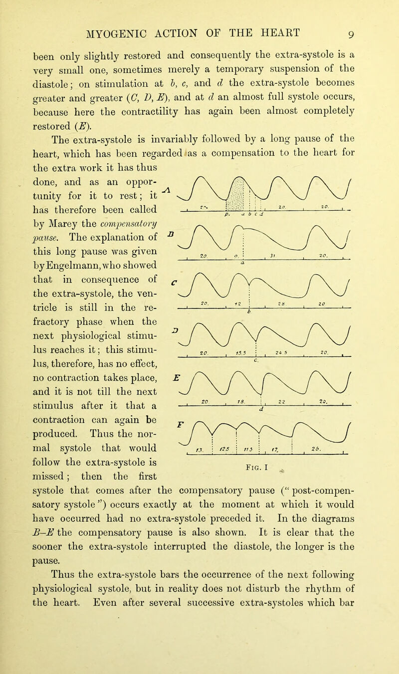 been only slightly restored and consequently the extra-systole is a very small one, sometimes merely a temporary suspension of the diastole; on stimulation at i, c, and d the extra-systole becomes greater and greater (C, D, E), and at d an almost full systole occurs, because here the contractility has again been almost completely restored (E). The extra-systole is invariably followed by a long pause of the heart, which has been regarded as a compensation to the heart for the extra work it has thus done, and as an oppor- tunity for it to rest; it has therefore been called by Marey the compensatory pause. The explanation of this long pause was given byEngelmann,who showed that in consequence of the extra-systole, the ven- tricle is still in the re- fractory phase when the next physiological stimu- lus reaches it; this stimu- lus, therefore, has no effect, no contraction takes place, and it is not till the next stimulus after it that a contraction can again be produced. Thus the nor- mal systole that would follow the extra-systole is missed; then the first systole that comes after the compensatory pause (“ post-compen- satory systole ”) occurs exactly at the moment at which it would have occurred had no extra-systole preceded it. In the diagrams B-E the compensatory pause is also shown. It is clear that the sooner the extra-systole interrupted the diastole, the longer is the pause. Thus the extra-systole bars the occurrence of the next following physiological systole, but in reality does not disturb the rhythm of the heart. Even after several successive extra-systoles which bar