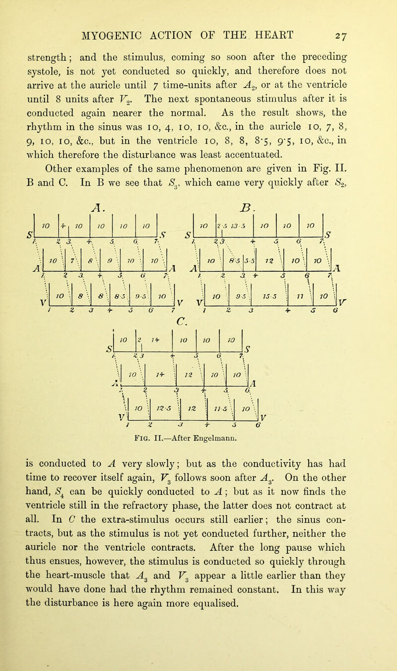 strength; and the stimulus, coming so soon after the preceding systole, is not yet conducted so quickly, and therefore does not arrive at the auricle until 7 time-units after A2, or at the ventricle until 8 units after V2. The next spontaneous stimulus after it is conducted again nearer the normal. As the result shows, the rhythm in the sinus was 10, 4, 10, 10, &c., in the auricle 10, 7, 8,. 9, 10, 10, &c., but in the ventricle 10, 8, 8, 8*5, 9-5, 10, &c., in which therefore the disturbance was least accentuated. Other examples of the same phenomenon are given in Fig. II. B and C. In B we see that S3. which came very quickly after S2, A. B. 10 4 | 10 10 10 to IO 2 5 13 .5 IO 10 IO 1 S S 1 1. Z j 5. G. 7. Z 2 3 4 5 6 7. 10 \ 7\ 8 .9 \ 10 \ 10 \ A A' 70 8 5 |j-5: 12 \ 10 \ IO /. 3. 4, 4 6 7\ / 2 3. 4 5 6 \ 7. V' 10 \ 8 \ 8 \ 8 5. 0 5. IO - > 10 9 -5 \ 15 5 77 \ 1° \ 1 Z 3 4 5 6 7 1 & 3 4 5 6 c. t IO Z 14 A 10 10 JO /. 2 3 -< 0 G 7 12 V1 • \l 10 \ 12:5 12 11 5 \ IO \ yl : 1 2 3 4 3 6 V Fig. II.—After Engelmann. is conducted to A very slowly; but as the conductivity has had time to recover itself again, V3 follows soon after A3. On the other hand, Si can be quickly conducted to A ; but as it now finds the ventricle still in the refractory phase, the latter does not contract at all. In C the extra-stimulus occurs still earlier; the sinus con- tracts, but as the stimulus is not yet conducted further, neither the auricle nor the ventricle contracts. After the long pause which thus ensues, however, the stimulus is conducted so quickly through the heart-muscle that A3 and V3 appear a little earlier than they would have done had the rhythm remained constant. In this way the disturbance is here again more equalised.