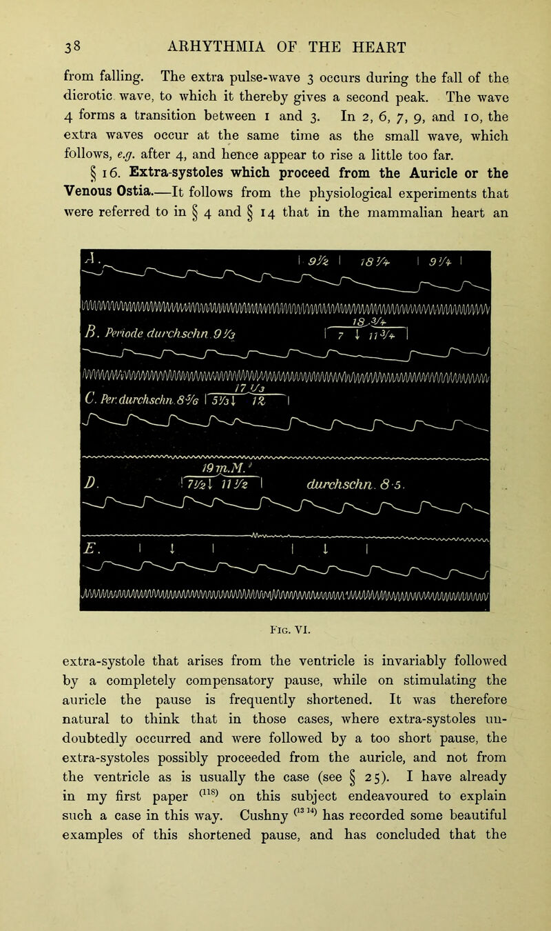 from falling. The extra pulse-wave 3 occurs during the fall of the dicrotic wave, to which it thereby gives a second peak. The wave 4 forms a transition between 1 and 3. In 2, 6, 7, 9, and 10, the extra waves occur at the same time as the small wave, which follows, e.g. after 4, and hence appear to rise a little too far. § 16. Extra-systoles which proceed from the Auricle or the Venous Ostia—It follows from the physiological experiments that were referred to in § 4 and § 14 that in the mammalian heart an 9Vk I 787A- 1 9!/4h 1 B. Periodsdurchschn 9 '/j 18 7 1 ;; 3A WI/WVMVWW^^ C. Per durchschn S■Vs I 5361 1Z I Fig. VI. extra-systole that arises from the ventricle is invariably followed by a completely compensatory pause, while on stimulating the auricle the pause is frequently shortened. It was therefore natural to think that in those cases, where extra-systoles un- doubtedly occurred and were followed by a too short pause, the extra-systoles possibly proceeded from the auricle, and not from the ventricle as is usually the case (see § 25). I have already in my first paper (11S) on this subject endeavoured to explain such a case in this way. Cushny (1314) has recorded some beautiful examples of this shortened pause, and has concluded that the