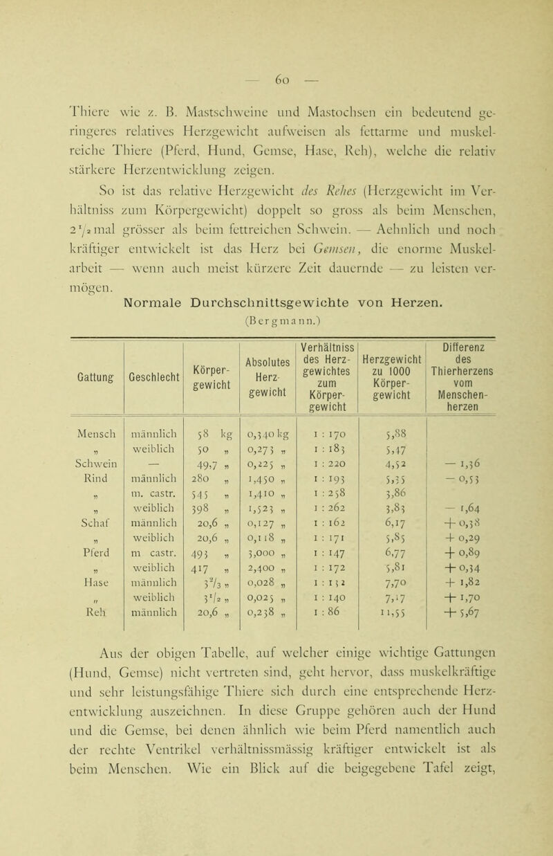 Thicrc wie ß. Mastschweine und Mastochsen ein bedeutend ge- ringeres relatives Herzgewicht aufweisen als fettarme und muskel- reiche Thiere (Pferd, Hund, Gemse, Hase, Reh), welche die relativ stärkere Herzentwicklung zeigen. So ist das relative Herzgewicht des Rehes (Herzgewicht im \'er- hältniss zum Körpergewicht) doppelt so gro.ss als beim Menschen, 2'y2mal grösser als beim fettreichen Schwein. — Aehnlich und noch kräftiger entwickelt ist das Herz bei Gemsen, die enorme Muskel- arbeit — wenn auch meist kürzere Zeit dauernde — zu leisten ver- mögen. Normale Durchschnittsgewichte von Herzen. (Bergmann.) Gattung- Geschlecht Körper- gewicht Absolutes Herz gewicht Verhältniss des Herz- gewichtes zum Körper- gewicht Herzgewicht zu 1000 Körper- gewicht Differenz des Thierherzens vom Menschen- herzen Mensch männlich 58 kg 0,340kg I 170 5,88 „ weiblich 50 11 0,273 11 I 183 5,47 Schwein — 49i7 n 0,225 „ I 220 4,52 — 1,36 Rind männlich 280 „ 1,450 r I 193 5,3 5 - 0,53 m. castr. 545 « 1,410 „ 1 258 3,86 11 weiblich 398 « 1,523 ,1 I 262 3,83 — 1,64 Schaf männlich 20,6 „ 0,127 n I 162 6,17 + 0,38 „ weiblich 20,6 „ 0,1 18 „ I 171 5,85 + 0,29 Pferd m castr. 493 11 3,000 „ I 147 6,77 + 0,89 11 weiblich 417 11 2,400 „ I 172 5,81 + 0,34 Hase männlich 37s 11 0,028 „ I I i2 7,70 -t- 1,82 weiblich 37a „ 0,025 „ I 140 7,‘7 +1,70 Reil männlich 20,6 „ 0,238 „ I 86 11,55 + 5,67 Aus der obigen Tabelle, auf welcher einige wichtige Gattungen (Hund, Gemse) nicht vertreten sind, geht hervor, dass muskelkräftige Liitd sehr leLstungsHhige Thiere sich durch eine entsprechende Herz- entwicklung auszeichnen. In diese Gruppe gehören auch der Hund und die Gemse, bei denen ähnlich wie beim Pferd namentlich auch der rechte \Tntrikel verhältnissmässig kräftiger entwickelt ist als beim Menschen. Wie ein Blick auf die beigegebene Tafel zeigt,