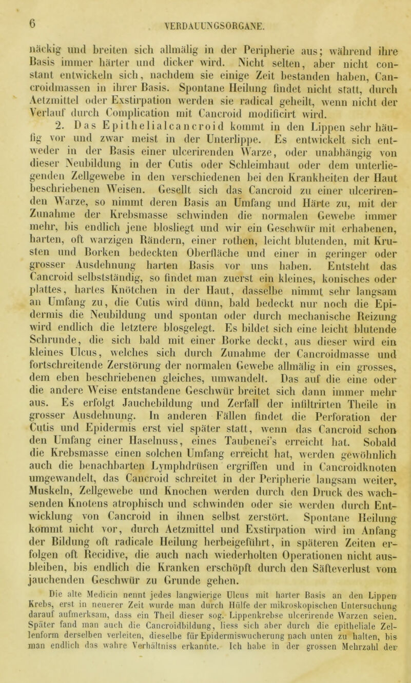 nackig und breiten sich allmälig in der Peripherie aus; während ihre Basis immer härter und dicker wird. Nicht selten, aber nicht con- stant entwickeln sich, nachdem sie einige Zeit bestanden haben, Can- croidmassen in ihrer Basis. Spontane Heilung findet nicht statt, durch Aetzmittel oder Exstirpation werden sie radical geheilt, wenn nicht der Verlauf durch Complication mit Cancroid modiücirt wird. 2. Das Epithelialcancroid kommt in den Lippen sehr häu- tig vor und zwar meist in der Unterlippe. Es entwickelt sich ent- weder in der Basis einer ulcerirenden Warze, oder unabhängig von dieser Neubildung in der Cutis oder Schleimhaut oder dem unterlie- genden Zellgewebe in den verschiedenen bei den Krankheiten der Haut beschriebenen Weisen. Gesellt sich das Cancroid zu einer ulceriren- den Warze, so nimmt deren Basis an Umfang und Härte zu, mit der Zunahme der Krebsmasse schwinden die normalen Gewebe immer mehr, bis endlich jene blosliegt und wir ein Geschwür mit erhabenen, harten, oft warzigen Rändern, einer rothen, leicbt blutenden, mit Kru- sten und Borken bedeckten Oberfläche und einer in geringer oder grosser Ausdehnung harten Basis vor uns haben. Entsteht das Cancroid selbstständig, so findet man zuerst ein kleines, konisches oder plattes, hartes Knötchen in der Haut, dasselbe nimmt sehr langsam au Umlang zu, die Cutis wird dünn, bald bedeckt nur noch die Epi- dermis die Neubildung und spontan oder durch mechanische Beizung wird endlich die letztere blosgelegt. Es bildet sich eine leicht blutende Schrunde, die sich bald mit einer Borke deckt, aus dieser wird ein kleines Ulcus, welches sich durch Zunahme der Cancroidmasse und fortschreitende Zerstörung der normalen Gewebe allmälig in ein grosses, dem eben beschriebenen gleiches, umwandelt. Das auf die eine oder die andere Weise entstandene Geschwür breitet sich dann immer mehr aus. Es erfolgt Jauchebildung und Zerfall der infiltrirten Tlieile in grosser Ausdehnung, ln anderen Fällen findet die Perforation der Cutis und Epidermis erst viel später statt, wenn das Cancroid schon den Umfang einer Haselnuss, eines Taubcnei’s erreicht hat. Sobald die Krebsmasse einen solchen Umfang erreicht hat, werden gewöhnlich auch die benachbarten Lymphdriisen ergriffen und in Cancroidknoten umgewandelt, das Cancroid schreitet in der Peripherie langsam weiter, Muskeln, Zellgewebe und Knochen werden durch den Druck des wach- senden Knotens atrophisch und schwinden oder sie werden durch Ent- wicklung von Cancroid in ihnen selbst zerstört. Spontane Heilung kommt nicht vor, durch Aetzmittel und Exstirpation wird im Anfang der Bildung oft radicale Heilung herbeigeführt, in späteren Zeiten er- folgen oft Recidive, die auch nach wiederholten Operationen nicht aus- bleiben, bis endlich die Kranken erschöpft durch den Säfteverlust vom jauchenden Geschwür zu Grunde gehen. Die alte Medicin nennt jedes langwierige Ulcus mit harter Rasis an den Lippen Krebs, erst in neuerer Zeit wurde man durch Hülfe der mikroskopischen Untersuchung darauf aufmerksam, dass ein Tlieil dieser sog. Lippenkrebse ulccrirende Warzen seien. Später fand man auch die Cancroidbildung, liess sich aber durch die epitheliale Zel- lenform derselben verleiten, dieselbe fiir Epidermiswucherung nach unten zu halten, bis man endlich das wahre Verhältniss erkannte. Ich habe in der grossen Mehrzahl der