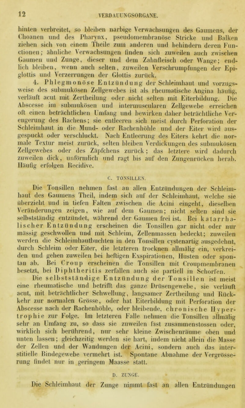 hinten verbreitet, so bleiben narbige Verwachsungen des Gaumens, der Choanen und des Pharynx, pseudomembranöse Stricke und Balken ziehen sich von einem Theile zum anderen und behindern deren Fun- ctionen; ähnliche Verwachsungen linden sich zuweilen auch zwischen Gaumen und Zunge, dieser und dem Zahnfleisch oder Wange; end- lich bleiben, wenn auch selten, zuweilen Vierschrumpfungen der Epi- glottis und Verzerrungen der Glottis zurück. 4. Phlegmonöse Entzündung der Schleimhaut und vorzugs- weise des submukösen Zellgewebes ist als rheumatische Angina häufig, verläuft acut mit Zertheilung oder nicht selten mit Eiterbildung. Die Abscesse im submukösen und intermuscularen Zellgewebe erreichen olt einen beträchtlichen Umläng und bewirken daher beträchtliche Ver- engerung des Rachens; sie entleeren sich meist durch Perforation der Schleimhaut in die Mund- oder Rachenhöhle und der Eiter wird aus- gespuckt oder verschluckt. Nach Entleerung des Eiters kehrt die nor- male Textur meist zurück, selten bleiben Verdickungen des submukösen Zellgewebes oder des Zäpfchens zurück; das letztere wird dadurch zuweilen dick, unförmlich und ragt bis auf den Zungenrücken herab. Häufig erfolgen Recidive. C. TONSILLEN. Die Tonsillen nehmen fast an allen Entzündungen der Schleim- haut des Gaumens Thcil, indem sich auf der Schleimhaut, welche sie überzieht und in tiefen Falten zwischen die Acini eingeht, dieselben Veränderungen zeigen, wie auf dem Gaumen; nicht selten sind sie selbstständig entzündet, während der Gaumen frei ist. Bei katarrha- lischer Entzündung erscheinen die Tonsillen gar nicht oder nur mässig geschwollen und mit Schleim, Zellenmassen bedeckt; zuweilen werden die Schleimhautbuchten in den Tonsillen cystenartig ausgedehnt, durch Schleim oder Eiter, die letzteren trocknen allmälig ein, verkrei- den und gehen zuweilen bei heftigen Exspirationen, Husten oder spon- tan ab. Bei Croup erscheinen die Tonsillen mit Croupmembranen besetzt, bei Diphtheritis zerfallen auch sie partiell in Schorfen. Die selbstständige Entzündung der Tonsillen ist meist eine rheumatische und betrifft das ganze Drüsengewebe, sie verläuft acut, mit beträchtlicher Schwellung, langsamer Zertheilung und Rück- kehr zur normalen Grösse, oder hat Eiterbildung mit Perforation der Abscesse nach der Rachenhöhle, oder bleibende, chronische Hyper- trophie zur Folge. Im letzteren Falle nehmen die Tonsillen allmälig sehr an Umfang zu, so dass sie zuweilen fast zusammenstossen oder, wirklich sich berührend, nur sehr kleine Zwischenräume oben und unten lassen; gleichzeitig werden sie hart, indem nicht allein die Masse der Zellen und der Wandungen der Acini, sondern auch das inter- stitielle Bindegewebe vermehrt ist. Spontane Abnahme der Vergrösse- rung findet nur in geringem Maasse statt. D. ZUNGE. Die Schleimhaut der Zunge nimmt last an allen Entzündungen
