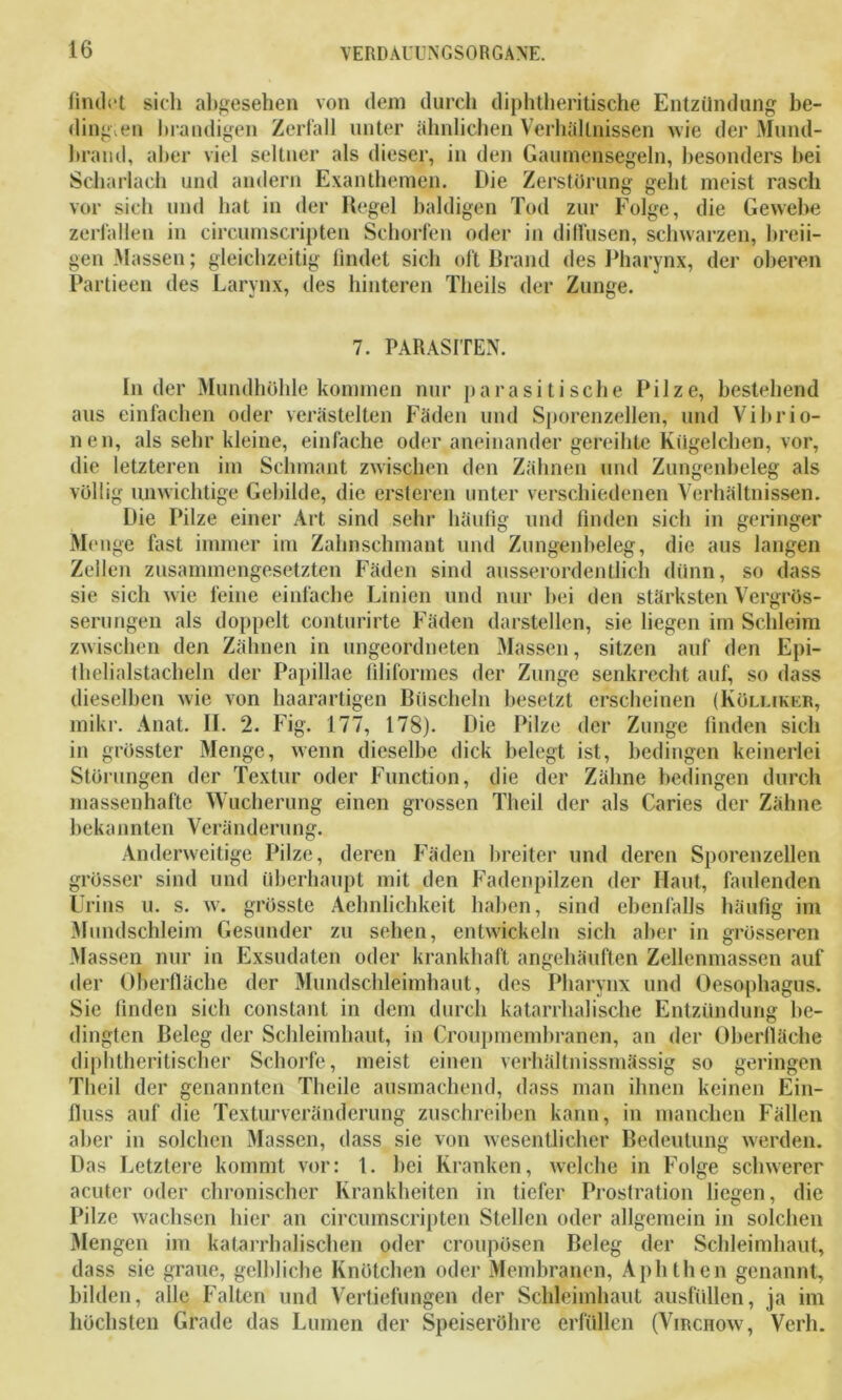 findet sich abgesehen von dem durch diphtheritische Entzündung be- ding. en brandigen Zerfall unter ähnlichen Verhältnissen wie der Mund- brand, aber viel seltner als dieser, in den Gaumensegeln, besonders hei Scharlach und andern Exanthemen. Die Zerstörung gellt meist rasch vor sich und hat in der Hegel baldigen Tod zur Folge, die Gewebe zerfallen in circumscripten Schorfen oder in diffusen, schwarzen, breii- gen Massen; gleichzeitig findet sich oft Brand des Pharynx, der oberen Partieen des Larynx, des hinteren Theils der Zunge. 7. PARASITEN. Inder Mundhöhle kommen nur parasitische Pilze, bestehend aus einfachen oder verästelten Fäden und Sporenzellen, und Vibrio- nen, als sehr kleine, einfache oder aneinander gereihte Kügelchen, vor, die letzteren im Schmant zwischen den Zähnen und Zungenheleg als völlig unwichtige Gebilde, die ersteren unter verschiedenen Verhältnissen. Die Pilze einer Art sind sehr häufig und finden sich in geringer Menge fast immer im Zahnschmant und Zungenbeleg, die aus langen Zellen zusammengesetzten Fäden sind ausserordentlich dünn, so dass sie sich wie feine einfache Linien und nur hei den stärksten Vergrös- serungen als doppelt conturirte Fäden darstellen, sie liegen im Schleim zwischen den Zähnen in ungeordneten Massen, sitzen auf den Epi- thelialstacheln der Pupillae filiformes der Zunge senkrecht auf, so dass dieselben wie von haarartigen Büscheln besetzt erscheinen (Köllikkr, mikr. Anat. II. 2. Fig. 177, 178). Die Pilze der Zunge finden sich in grösster Menge, wenn dieselbe dick belegt ist, bedingen keinerlei Störungen der Textur oder Function, die der Zähne bedingen durch massenhafte Wucherung einen grossen Theil der als Caries der Zähne bekannten Veränderung. Anderweitige Pilze, deren Fäden breiter und deren Sporenzellen grösser sind und überhaupt mit den Fadenpilzen der Haut, faulenden Urins u. s. w. grösste Aehnlichkeit haben, sind ebenfalls häufig im Mundschleim Gesunder zu sehen, entwickeln sich aber in grösseren Massen nur in Exsudaten oder krankhaft angehäuften Zellenmassen auf der Oßerfläcbe der Mundschleimhaut, des Pharynx und Oesophagus. Sie finden sich constant in dem durch katarrhalische Entzündung be- dingten Beleg der Schleimhaut, in Croupmembranen, an der Oberfläche diphtheritischer Schorfe, meist einen verhältnissmässig so geringen Theil der genannten Theile ausmachend, dass man ihnen keinen Ein- fluss auf die Texturveränderung zuschreihen kann, in manchen Fällen aber in solchen Massen, dass sie von wesentlicher Bedeutung werden. Das Letztere kommt vor: 1. hei Kranken, welche in Folge schwerer acuter oder chronischer Krankheiten in tiefer Prostration liegen, die Pilze wachsen hier an circumscripten Stellen oder allgemein in solchen Mengen im katarrhalischen oder croupösen Beleg der Schleimhaut, dass sie graue, gelbliche Knötchen oder Membranen, Aphthen genannt, bilden, alle Falten und Vertiefungen der Schleimhaut ausfüllen, ja im höchsten Grade das Lumen der Speiseröhre erfüllen (Virchow, Verh.