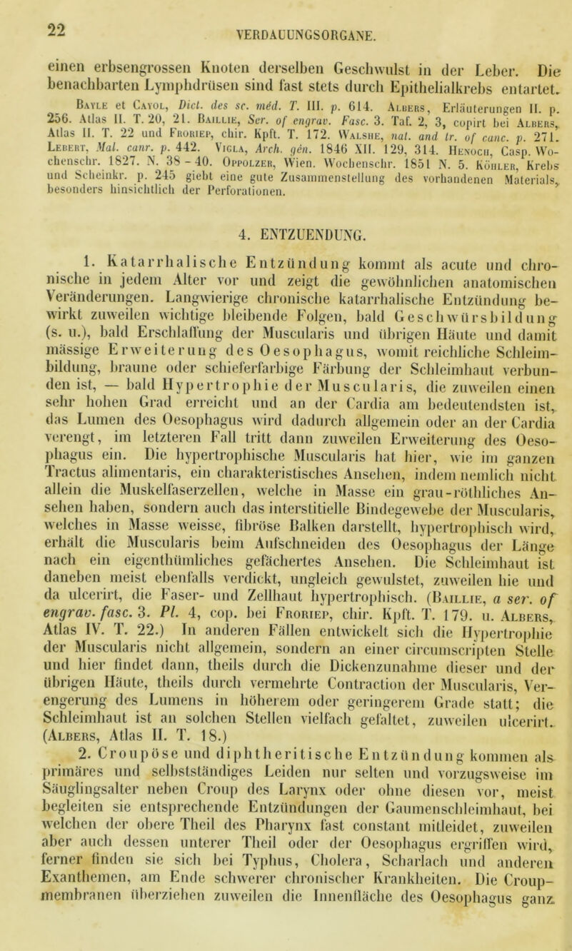 einen erbsengrossen Knoten derselben Geschwulst in der Leber. Die benachbarten Lymphdrüsen sind last stets durch Epithelialkrebs entartet. Bayle et Cayol, Diel■ des sc. indd. T. III. p. 614. Ai.uers, Erläuterungen II. p. 256. Atlas II. T. 20, 21. Baillie, Sur. of engrav. Fase. 3. Taf. 2, 3, copirt bei Almers, Atlas II. T. 22 und Froriep, chir. Kpft. T. 172. Walshe, ml. and Ir. of canc. p. 271. Lereri, Mal. cunr. p. 442. Vicla, Arch. gen. 184b XII. 129, 314. Henoch, Casp. Wo- chenschr. 1827. N. 38 -40. Oppolzer, Wien. Wocbenschr. 1851 N. 5. Köhler, Krebs und Scheinkr. p. 245 giebt eine gute Zusammenstellung des vorhandenen Materials besonders hinsichtlich der Perforationen. 4. ENTZUENDUNG. 1. Katarrhalische Entzündung kommt als acute und chro- nische in jedem Alter vor und zeigt die gewöhnlichen anatomischen Veränderungen. Langwierige chronische katarrhalische Entzündung be- wirkt zuweilen wichtige bleibende Folgen, bald Geschwürsbildung (s. u.), bald Erschlaffung der Muscularis und übrigen Häute und damit massige Erweiterung des Oesophagus, womit reichliche Schleim- bildung, braune oder schieferfarbige Färbung der Schleimhaut verbun- den ist, — bald Hypertrophie der Muscularis, die zuweilen einen sehr hohen Grad erreicht und an der Cardia am bedeutendsten ist, das Lumen des Oesophagus wird dadurch allgemein oder an der Cardia verengt, im letzteren Fall tritt dann zuweilen Erweiterung des Oeso- phagus ein. Die hypertrophische Muscularis hat hier, wie im ganzen lractus alimentaris, ein charakteristisches Ansehen, indem nemlicli nicht allein die Muskelfaserzellen, welche in Masse ein grau-röthliches An- sehen haben, sondern auch das interstitielle Bindegewebe der Muscularis, welches in Masse weisse, fibröse Balken darstellt, hypertrophisch wird’ erhält die Muscularis beim Aufschneiden des Oesophagus der Länge nach ein eigenthümliches gefächertes Ansehen. Die Schleimhaut ist daneben meist ebenfalls verdickt, ungleich gewulstet, zuweilen hie und da ulcerirt, die Faser- und Zellhaut hypertrophisch. (Baillie, a ser. of engrav. fase. 3. PL 4, cop. bei Froriep, chir. Kpft. T. 179. u. Albers, Atlas IV. T. 22.) ln anderen Fällen entwickelt sich die Hypertrophie der Muscularis nicht allgemein, sondern an einer circumscripten Stelle und hier findet dann, theils durch die Dickenzunahme dieser und der übrigen Häute, theils durch vermehrte Contraction der Muscularis, Ver- engerung des Lumens in höherem oder geringerem Grade statt; die Schleimhaut ist an solchen Stellen vielfach gefaltet, zuweilen ulcerirt.. (Albers, Atlas II. T. 18.) 2. Croupöse und diphtheritische Entzündung kommen als primäres und selbstständiges Leiden nur selten und vorzugsweise im Säuglingsalter neben Croup des Larynx oder ohne diesen vor, meist begleiten sie entsprechende Entzündungen der Gaumenschleimhaut, bei welchen der obere Tlieil des Pharynx fast constant mitleidet, zuweilen aber auch dessen unterer Tlieil oder der Oesophagus ergriffen wird, ferner finden sie sich bei Typhus, Cholera, Scharlach und anderen Exanthemen, am Ende schwerer chronischer Krankheiten. Die Croup- membranen überziehen zuweilen die Innenfläche des Oesophagus ganz.