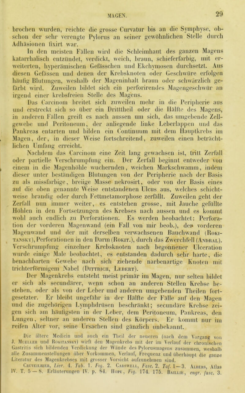 broclicn wurden, reichte die grosse Curvatur bis an die Symphyse, ob- schon der sehr verengte Pylorus an seiner gewöhnlichen Stelle durch Adhäsionen lixirt war. In den meisten Fällen wird die Schleimhaut des ganzen Magens katarrhalisch entzündet, verdickt, weich, braun, schieferfarbig, mit er- weiterten, hyperämischen Gefasschen und Ekchymosen durchsetzt. Aus diesen Gelassen und denen der Krebsknoten oder Geschwüre erfolgen häufig Blutungen, weshalb der Mageninhalt braun oder schwärzlich ge- färbt wird. Zuweilen bildet sich ein perforirendes Magengeschwür an irgend einer krebsfreien Stelle des Magens. Das Careinom breitet sich zuweilen mehr in die Peripherie aus und erstreckt sich so über ein DrittLheil oder die Hälfte des Magens, in anderen Fällen greift es nach aussen um sich, das umgebende Zell- gewebe und Peritoneum, der anliegende linke Leberlappen und das Pankreas entarten und bilden ein Continuum mit dem Hauptkrebs im Magen, der, in dieser Meise fortschreitend, zuweilen einen beträcht- lichen Umfang erreicht. Nachdem das Carcinom eine Zeit lang gewachsen ist, tritt Zerfall oder partielle Verschrumpfung ein. Der Zerfall beginnt entweder von einem in die Magenhöhle wuchernden, weichen Markschwamm, indem dieser unter beständigen Blutungen von der Peripherie nach der Basis zu als missfarbige, breiige Masse nekrosirt, oder von der Basis eines auf die oben genannte Weise entstandenen Ulcus aus, welches schicht- weise brandig oder durch Fettmetamorphose zerfällt. Zuweilen geht der Zerfall nun immer weiter, es entstehen grosse, mit Jauche gefüllte Höhlen in den Fortsetzungen des Krebses nach aussen und es kommt wohl auch endlich zu Perforationen. Es werden beobachtet: Perfora- tion der vorderen Magenwand (ein Fall von mir beob.), den vorderen Magenwand und der mit derselben verwachsenen Bauchwand (Boki- tansky), Perforationen in den Darm (Bokit.), durch das Zwerchfell (Andral). Verschrumpfung einzelner Krebsknoten nach begonnener Ulceration wurde einige Male beobachtet, es entstanden dadurch sehr harte, die benachbarten Gewebe nach sich ziehende narbenartige Knoten mit trichterförmigem Nabel (Dittrich, Lebert). Der Magenkrebs entsteht meist primär im Magen, nur selten bildet er sich als secundärer, wenn schon an anderen Stellen Krebse be- stehen, oder als von der Leber und anderen umgebenden Theilen fort- gesetzter. Er bleibt ungefähr in der Hälfte der Fälle auf den Magen und die zugehörigen Lymphdrüsen beschränkt; secundäre Krebse zei- gen sich am häufigsten in der Leber, dem Peritoneum, Pankreas, den Lungen, seltner an anderen Stellen des Körpers. Er kommt nur im reifen Alter vor, seine Ursachen sind gänzlich unbekannt. Die ältere Medicin und auch ein Thcil der neueren (nach dem Vorgang von J. Mueller und Rokitansky) wirft den Magenkrebs mit der im Verlauf der chronischen Gastritis sich bildenden Verdickung der Wände des Pylorusmagens zusammen, weshalb alle Zusammenstellungen über Vorkommen, Verlauf, Frequenz und überhaupt die ganze Literatur des Magenkrebses mit grosser Vorsicht aufzunehmen sind. Cruveii.hjer, Livr. 4. Tab. 1. Ftg. 2. Carswell, Fase. 2. Taf. 1 — 3. Albers Atlas IV. T. 5 — 8. Erläuterungen IV. p. 84. Hope, Fig. 174. 175. Baii.lie, engr. fase. 3.