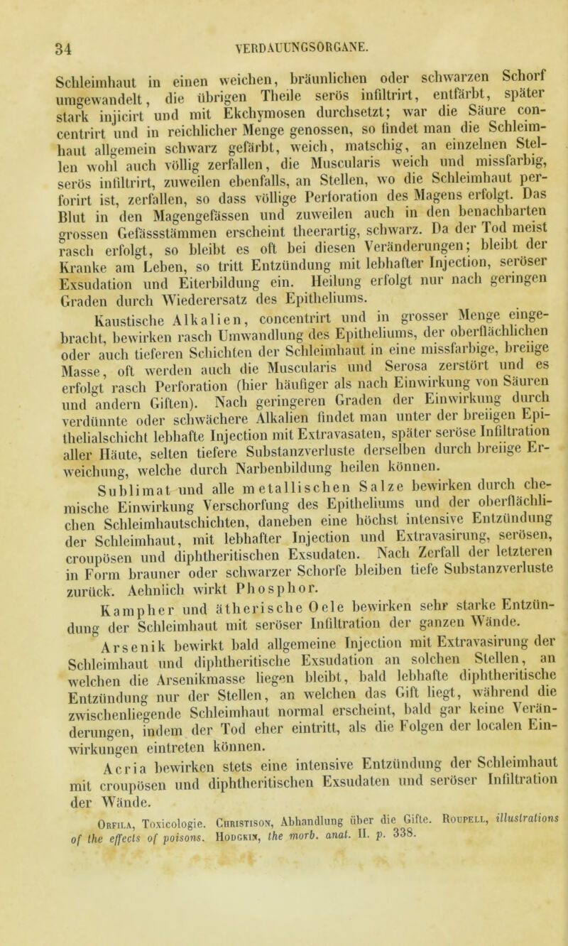 Schleimhaut in einen weichen, bräunlichen oder schwaizen Sclioif umgewandelt, die übrigen Theile serös infiltrirt, entfärbt, später stark injicirt und mit Ekchymosen durchsetzt; war die Säure con- centrirt und in reichlicher Menge genossen, so findet man die Schleim- haut allgemein schwarz gefärbt, weich, matschig, an einzelnen Stel- len wohl auch völlig zerfallen, die Muscularis weich und missfarbig, serös infiltrirt, zuweilen ebenfalls, an Stellen, wo die Schleimhaut per- forirt ist, zerfallen, so dass völlige Perforation des Magens erfolgt. Das Blut in den Magengefässen und zuweilen auch in den benachbarten grossen Gefassstämmen erscheint theerartig, schwarz. Da der Tod meist rasch erfolgt, so bleibt es oft bei diesen Veränderungen; bleibt der Kranke am Leben, so tritt Entzündung mit lebhafter Injection, seröser Exsudation und Eiterbildung ein. Heilung erfolgt nur nach geringen Graden durch Wiederersatz des Epitheliums. Kaustische Alkalien, concentrirt und in grosser Menge einge- bracht, bewirken rasch Umwandlung des Epitheliums, der oberflächlichen oder auch tieferen Schichten der Schleimhaut in eine missfaibige, bienge Masse, oft werden auch die Muscularis und Serosa zerstört und es erfolgt’ rasch Perforation (hier häufiger als nach Einwirkung von Säuren und andern Giften). Nach geringeren Graden der Einwirkung durch verdünnte oder schwächere Alkalien findet man unter der breiigen Epi- thelialschicht lebhafte Injection mit Extravasaten, später seröse Infiltration aller Häute, selten tiefere Substanzverluste derselben durch breiige Er- weichung, welche durch Narbenbildung heilen können. Sublimat und alle metallischen Salze bewirken durch che- mische Einwirkung Verschorfung des Epitheliums und der oberflächli- chen Schleimhautschichten, daneben eine höchst intensive Entzündung der Schleimhaut, mit lebhafter Injection und Extravasirung, serösen, croupösen und diphtheritischen Exsudaten. Nach Zerfall der letzteren in Form brauner oder schwarzer Schorfe bleiben tiefe Substanzverluste zurück. Aehnlich wirkt Phosphor. Kampher und ätherische Ocle bewirken sehr starke Entzün- dung der Schleimhaut mit seröser Infiltration der ganzen Wände. ^Arsenik bewirkt bald allgemeine Injection mit Extravasirung der Schleimhaut und diphtheritische Exsudation an solchen Stellen, an welchen die Arsenikmasse liegen bleibt, bald lebhafte diphtheritische Entzündung nur der Stellen, an welchen das Gill hegt, während die zwischenliegende Schleimhaut normal erscheint, bald gar keine Verän- derungen, indem der Tod eher eintritt, als die Folgen der localen Ein- wirkungen eintreten können. Acria bewirken stets eine intensive Entzündung der Schleimhaut mit croupösen und diphtheritischen Exsudaten und seröser Infiltration der Wände. Orfii.a, Toxicologie. Christison, Abhandlung über die Gifte. Roupell, illuslrations of the effecls of poisons. Hodgkin, the morb. anal. II. p. 338.