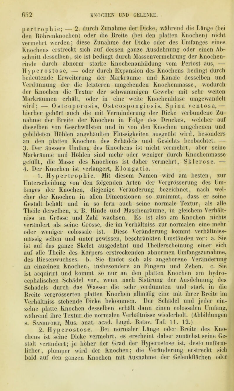 pertrophie; — 2. durch Zunahme der Dicke, während die Länge (hei den Röhrenknochen) oder die Breite (hei den platten Knochen) nicht vermehrt werden; diese Zunahme der Dicke oder des Umfanges eines Knochens erstreckt sich auf dessen ganze Ausdehnung oder einen Ab- schnitt desselben, sie ist bedingt durch Massenvermehrung der Knochen- rinde durch abnorm starke Knochenanbildung vom Periost aus, — Hyperostose, — oder durch Expansion des Knochens bedingt durch bedeutende Erweiterung der Markräume und Kanäle desselben und Verdünnung der die letzteren umgebenden Knochenmasse, wodurch der Knochen die Textur der schwammigen Gewebe mit sehr weiten Markräumen erhält, oder in eine weite Knochenblase umgewandelt wird; — 0 steoporosis, Osteospongiosi s, Spina ventosa,— hierher gehört auch die mit Verminderung der Dicke verbundene Zu- nahme der Breite der Knochen in Folge des Druckes, welcher auf dieselben von Geschwülsten und in von den Knochen umgebenen und gebildeten Höhlen angehäuften Flüssigkeiten ausgeübt wird, besonders an den platten Knochen des Schädels und Gesichts beobachtet. — 3. Der äussere Umfang des Knochens ist nicht vermehrt, aber seine Markräume und Höhlen sind mehr oder weniger durch Knochenmasse gefüllt, die Masse des Knochens ist daher vermehrt, Sklerose. — 4. Der Knochen ist verlängert, Elongatio. 1. Hypertrophie. Mit diesem Namen wird am besten, zur Unterscheidung von den folgenden Arten der Vergrösserung des Um- fanges der Knochen, diejenige Veränderung bezeichnet, nach wel- cher der Knochen in allen Dimensionen so zunimmt, dass er seine Gestalt behält und in so fern auch seine normale Textur, als alle Theile derselben, z. B. Binde und Maschenräume, in gleichem Verhält- niss an Grösse und Zahl wachsen. Es ist also am Knochen nichts verändert als seine Grösse, die im Verhältniss zur normalen eine mehr oder weniger colossale ist. Diese Veränderung kommt verhältniss- mässig selten und unter gewissen, beschränkten Umständen vor: a. Sie ist auf das ganze Skelet ausgedehnt und Theilerscheinung einer sich auf alle Theile des Körpers erstreckenden abnormen Umfangszunahme, des Riesenwuchses, b. Sie findet sich als angeborene Veränderung an einzelnen Knochen, insbesondere an Fingern und Zehen, c. Sie ist acquirirt und kommt so nur an den platten Knochen am hydro- cephalischen Schädel vor, wenn nach Sistirung der Ausdehnung des Schädels durch das Wasser die sehr verdünnten und stark in die Breite vergrösserten platten Knochen allmälig eine mit ihrer Breite im Verhältniss stehende Dicke bekommen. Der Schädel und jeder ein- zelne platte Knochen desselben erhält dann einen colossalen Umfang, während ihre Textur die normalen Verhältnisse wiederholt. (Abbildungen s. Saindifort, Mus. anat. acad. Lugd. Batav. Taf. 11. 12.) 2. Hyperostose. Bei normaler Länge oder Breite des Kno- chens ist seine Dicke vermehrt, es erscheint daher zunächst seine Ge- stalt verändert; je höher der Grad der Hyperostose ist, desto unförm- licher, plumper wird der Knochen; die Veränderung erstreckt sich bald auf den ganzen Knochen mit Ausnahme der Gelenkflächen oder