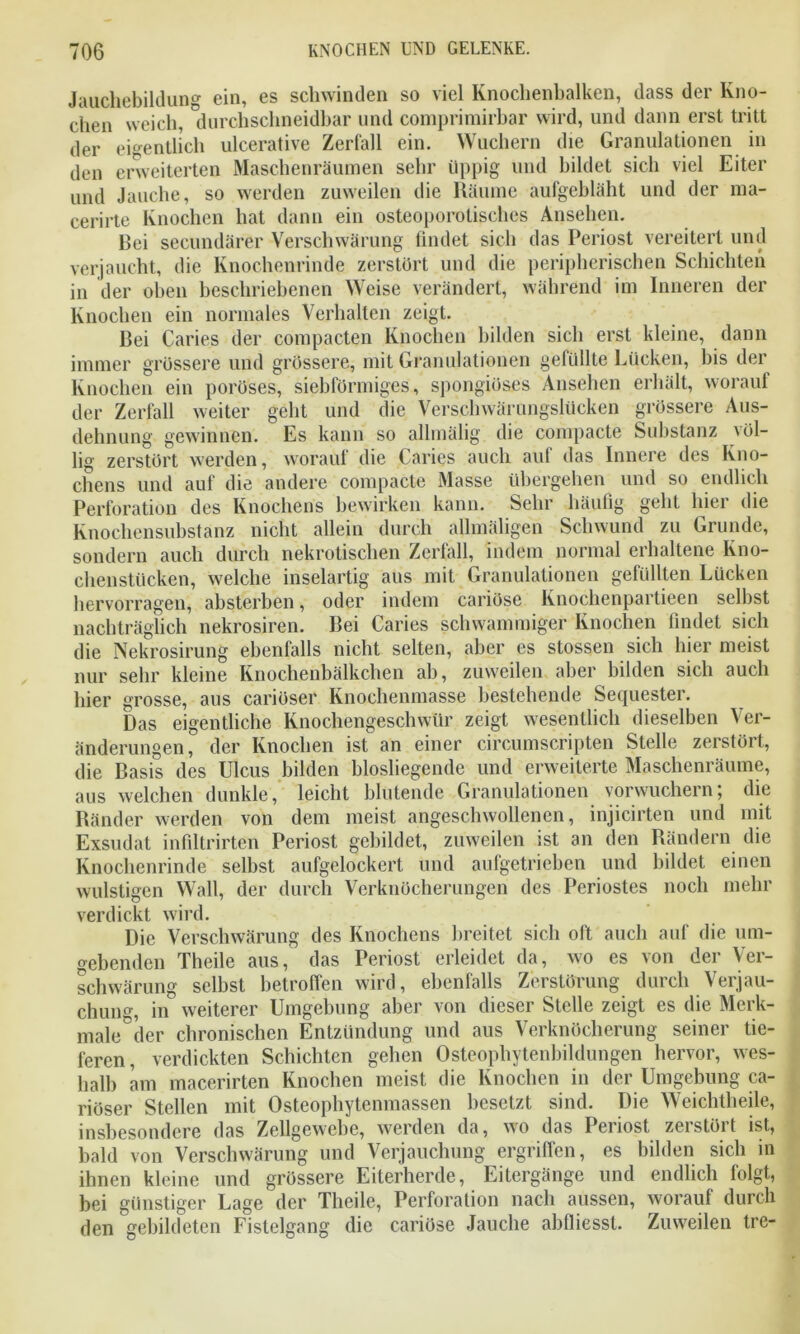 Jauchebildung ein, es schwinden so viel Knochenbalken, dass der Kno- chen weich, °durchschneidbar und comprimirbar wird, und dann erst tritt der eigentlich ulcerative Zerfall ein. Wuchern die Granulationen in den erweiterten Maschenräumen sehr üppig und bildet sich viel Eiter und Jauche, so werden zuweilen die Räume aufgebläht und der ma- cerirte Knochen hat dann ein osteoporotisehes Ansehen. Bei secundärer Verschwärung findet sich das Periost vereitert und verjaucht, die Knochenrinde zerstört und die peripherischen Schichten in der oben beschriebenen Weise verändert, während im Inneren der Knochen ein normales Verhalten zeigt. Bei Caries der compacten Knochen bilden sich erst kleine, dann immer grössere und grössere, mit Granulationen gefüllte Lücken, bis der Knochen ein poröses, siebförmiges, spongiöses Ansehen erhalt, worauf der Zerfall weiter geht und die Verschwärungslücken grössere Aus- dehnung gewinnen. Es kann so allmälig die compacte Substanz völ- lig zerstört werden, worauf die Caries auch auf das Innere des Kno- chens und auf die andere compacte Masse übergehen und so endlich Perforation des Knochens bewirken kann. Sehr häufig geht hier die Knochensubstanz nicht allein durch allmäligen Schwund zu Grunde, sondern auch durch nekrotischen Zerfall, indem normal erhaltene Kno- chenstücken, welche inselartig aus mit Granulationen gefüllten Lücken hervorragen, absterben, oder indem cariöse Knochenpartieen selbst nachträglich nekrosiren. Bei Caries schwammiger Knochen findet sich die Nekrosirung ebenfalls nicht selten, aber es stossen sich hier meist nur sehr kleine Knochenbälkchen ab, zuweilen aber bilden sich auch hier grosse, aus cariöser Knochenmasse bestehende Sequester. Das eigentliche Knochengeschwür zeigt wesentlich dieselben Ver- änderungen, der Knochen ist an einer circumscripten Stelle zerstört, die Basis des Ulcus bilden biosliegende und erweiterte Maschenräume, aus welchen dunkle, leicht blutende Granulationen vorwuchern; die Ränder werden von dem meist angeschwollenen, injicirten und mit Exsudat infiltrirten Periost gebildet, zuweilen ist an den Rändern die Knochenrinde selbst aufgelockert und aufgetrieben und bildet einen wulstigen Wall, der durch Verknöcherungen des Periostes noch mehr verdickt wird. Die Verschwärung des Knochens breitet sich oft auch auf die um- gebenden Theile aus, das Periost erleidet da, wo es von der Ver- schwärung selbst betroffen wird, ebenfalls Zerstörung durch Verjau- chung, in weiterer Umgebung aber von dieser Stelle zeigt es die Merk- male°der chronischen Entzündung und aus Verknöcherung seiner tie- feren, verdickten Schichten gehen Osteophytenbildungen hervor, wes- halb am macerirten Knochen meist die Knochen in der Umgebung ca- riöser Stellen mit Osteophytenmassen besetzt sind. Die Weichtheile, insbesondere das Zellgewebe, werden da, wo das Periost zerstört ist, bald von Verschwärung und Verjauchung ergriffen, es bilden sich in ihnen kleine und grössere Eiterherde, Eitergänge und endlich folgt, bei günstiger Lage der Theile, Perforation nach aussen, worauf durch den gebildeten Fistelgang die cariöse Jauche abfliesst. Zuweilen tre-