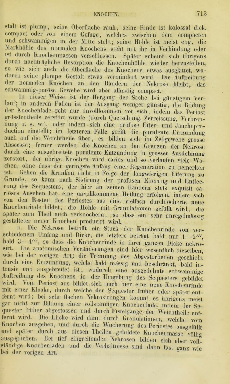 stalt ist plump, seine Oberfläche rauh, seine Binde ist kolossal dick, compact oder von einem Gefüge, welches zwischen dem compacten und schwammigen in der Mitte stellt; seine Hohle ist meist eng, die Markhölde des normalen Knochens steht mit ihr in Verbindung oder ist durch Knochenmassen verschlossen. Später scheint sich übrigens durch nachträgliche Resorption die Knochenhöhle wieder herzustellen, so wie sich auch die Oberfläche des Knochens etwas ausglättet, wo- durch seine plumpe Gestalt etwas vermindert wird. Die Auftreibung der normalen Knochen an den Rändern der Nekrose bleibt, das schwammig-poröse Gewebe wird aber allmälig compact. In dieser Weise ist der Hergang der Sache bei günstigem Ver- lauf; in anderen Fällen ist der Ausgang weniger günstig, die Bildung der Knochenlade geht nur unvollkommen vor sich, indem das Periost grösstenllieils zerstört wurde (durch Quetschung, Zerreissung, Verbren- nung u. s. w.), oder indem sich eine profuse Eiter- und Jauchepro- duction einstellt; im letzteren Falle greift die purulente Entzündung auch auf die YVeichtheile über, es bilden sich im Zellgewebe grosse Abscesse; ferner werden die Knochen an den Grenzen der Nekrose durch eine ausgehreitete purulente Entzündung in grosser Ausdehnung zerstört, der übrige Knochen wird cariös und so verlaufen viele Wo- cheu, ohne dass der geringste Anfang einer Regeneration zu bemerken ist. Gehen die Kranken nicht in Folge der langwierigen Eiterung zu Grunde, so kann nach Sistirung der profusen Eiterung und Entlee- rung des Sequesters, der hier an seinen Rändern stets exquisit ca- riöses Ansehen hat, eine unvollkommene Heilung erfolgen, indem sich von den Resten des Periostes aus eine vielfach durchlöcherte neue Knochenrinde bildet, die Höhle mit Granulationen gefüllt wird, die später zum rheil auch verknöchern, so dass ein sehr unregelmässig gestalteter neuer Knochen producirt wird. h. Die Nekrose betrifft ein Stück der Knochenrinde von ver- schiedenem Umfang und Dicke, die letztere beträgt bald nur 1— 2', bald 3—4', so dass die Knochenrinde in ihrer ganzen Dicke nekro- sirt. Die anatomischen Veränderungen sind hier wesentlich dieselben, wie hei der vorigen Art; die Trennung des Abgestorbenen geschieht durch eine Entzündung, welche bald mässig und beschränkt, bald in- tensiv und ausgebreitet ist, wodurch eine ausgedehnte schwammige Auftreibung des Knochens in der Umgehung des Sequesters gebildet wird. Vom Periost aus bildet sich auch hier eine neue Knochenrinde mit einer Kloake, durch welche der Sequester früher oder später ent- fernt wird; hei sehr flachen Nekrosirungen kommt es übrigens meist gar nicht zur Bildung einer vollständigen Knochenlade, indem der Se- quester früher abgcstossen und durch Fistelgänge der Weichtheile ent- fernt wird. Die Lücke wird dann durch Granulationen, welche vom Knochen ausgehen, und durch die Wucherung des Periostes ausoefilllt und später durch aus diesen Theilen gebildete Knochenmasse °völlia ausgeglichen. Bei lief eingreifenden Nekrosen bilden sich aber voll- ständige Knochenladen und die Verhältnisse sind dann fast ganz wie hei der vorigen Art. 6