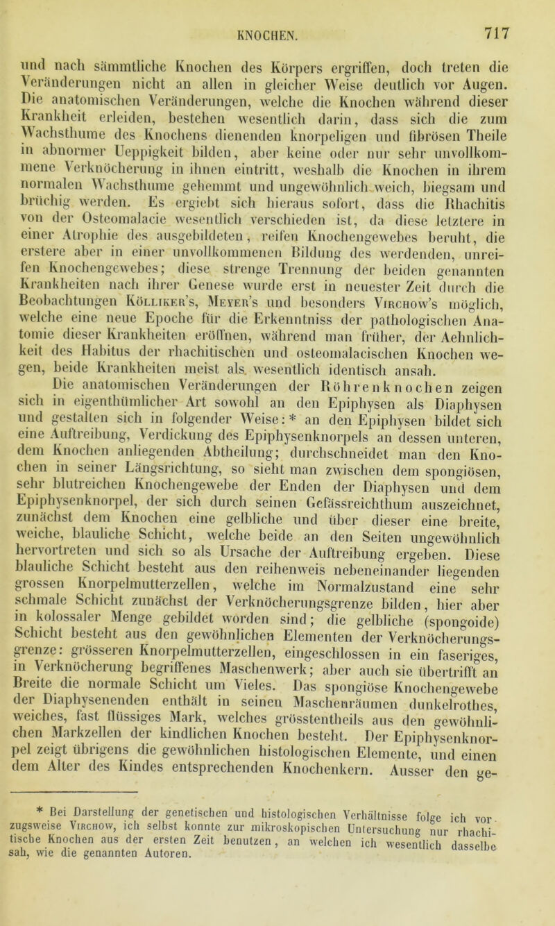 und nach sämmtliche Knochen des Körpers ergriffen, doch treten die Veränderungen nicht an allen in gleicher Weise deutlich vor Augen. Die anatomischen Veränderungen, welche die Knochen während dieser Krankheit erleiden, bestehen wesentlich darin, dass sich die zum Wachsthume des Knochens dienenden knorpeligen und fibrösen Theile in abnormer Ueppigkeit bilden, aber keine oder nur sehr unvollkom- mene Verknöcherung in ihnen eintritt, weshalb die Knochen in ihrem normalen Wachsthume gehemmt und ungewöhnlich weich, biegsam und brüchig werden. Es ergiebt sich hieraus sofort, dass die Rhachitis von der Osteomalacie wesentlich verschieden ist, da diese letztere in einer Atrophie des ausgebildeten, reifen Knochengewebes beruht, die erstere aber in einer unvollkommenen Bildung des werdenden, unrei- fen Knochengewebes; diese strenge Trennung der beiden genannten Krankheiten nach ihrer Genese wurde erst in neuester Zeit durch die Beobachtungen Kölliker’s, Meyer’s und besonders Virchow’s möglich, welche eine neue Epoche für die Erkenntniss der pathologischen Ana- tomie dieser Krankheiten eröffnen, während man früher, der Aelmlich- keit des Habitus der rhachitischen und osteomalacisclien Knochen we- gen, beide Krankheiten meist als. wesentlich identisch ansah. Die anatomischen Veränderungen der Röhrenknochen zeigen sich in eigentümlicher Art sowohl an den Epiphysen als Diaphysen und gestalten sich in folgender Weise:* an den Epiphysen bildet sich eine Auftreibung, Verdickung des Epiphysenknorpels an dessen unteren, dem Knochen anliegenden Abtheilung; durchschneidet man den Kno- chen in seiner Längsrichtung, so sieht man zwischen dem spongiösen, sehr blutreichen Knöchengewebe der Enden der Diaphysen und dem Epiphysenknorpel, der sich durch seinen Gefässreichthum auszeichnet, zunächst dem Knochen eine gelbliche und über dieser eine breite, weiche, bläuliche Schicht, welche beide an den Seiten ungewöhnlich hervortreten und sich so als Ursache der Auftreibung ergeben. Diese bläuliche Schicht besteht aus den reihenweis nebeneinander liegenden grossen Knorpelmutterzellen, welche im Normalzustand eine° sehr schmale Schicht zunächst der Verknöcherungsgrenze bilden, hier aber m kolossaler Menge gebildet worden sind; die gelbliche (spongoide) Schicht besteht aus den gewöhnlichen Elementen der Verknöcherungs- 8lenze: grösseren Knorpelmutterzellen, eingeschlossen in ein faseriges, in Verknöcherung begriffenes Maschenwerk; aber auch sie übertrifft an Breite die normale Schicht um Vieles. Das spongiöse Knochengewebe der Diaphysenenden enthält in seinen Maschenräumen dunkelrothes, weiches, fast flüssiges Mark, welches grösstentheils aus den gewöhnli- chen Markzellen der kindlichen Knochen besteht. Der Epiphysenknor- pel zeigt übrigens die gewöhnlichen histologischen Elemente, und einen dem Aller des Kindes entsprechenden Knochenkern. Ausser den e- * Bei Darstellung der genetischen und histologischen Verhältnisse folge ich vor zugsweise Virchow, ich selbst konnte zur mikroskopischen Untersuchung nur rhachi tische Knochen aus der ersten Zeit benutzen, an welchen ich wesentlich dasselhr* sah, wie die genannten Autoren.