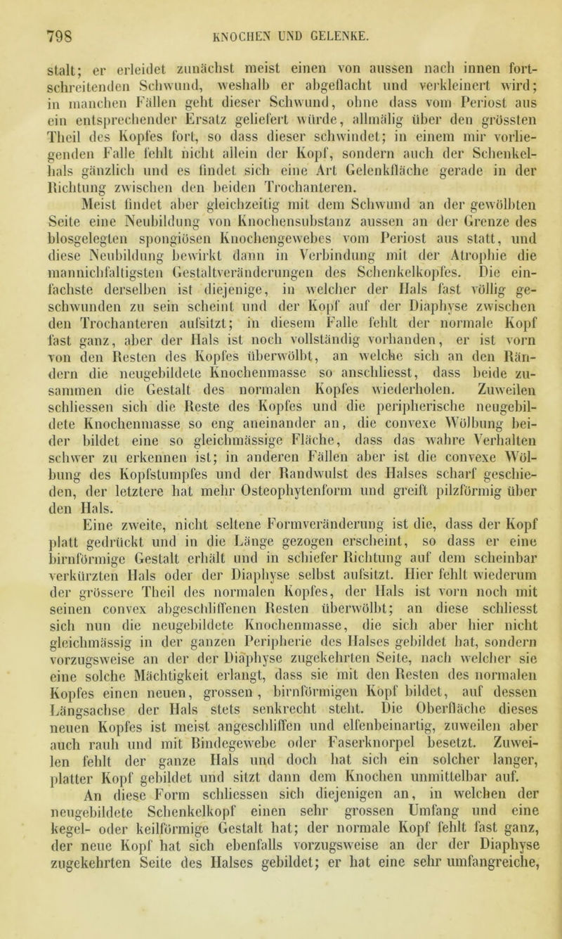 stalt; er erleidet zunächst meist einen von aussen nach innen fort- schreitenden Schwund, weshalb er abgeflacht und verkleinert wird; in manchen Fällen geht dieser Schwund, ohne dass vom Periost aus ein entsprechender Ersatz geliefert würde, allmälig über den grössten Theil des Kopfes fort, so dass dieser schwindet; in einem mir vorlie- genden Falle fehlt nicht allein der Kopf, sondern auch der Schenkel- hals gänzlich und es findet sich eine Art Gelenkfläche gerade in der Richtung zwischen den beiden Trochanteren. Meist findet aber gleichzeitig mit dem Schwund an der gewölbten Seite eine Neubildung von Knochensubstanz aussen an der Grenze des blosgelegten spongiösen Knochengewebes vom Periost aus statt, und diese Neubildung bewirkt dann in Verbindung mit der Atrophie die mannichfaltigsten Gestaltveränderungen des Schenkelkopfes. Pie ein- fachste derselben ist diejenige, in welcher der Hals last völlig ge- schwunden zu sein scheint und der Kopf auf der Diaphyse zwischen den Trochanteren aufsitzt; in diesem Falle fehlt der normale Kopf fast ganz, aber der Hals ist noch vollständig vorhanden, er ist vorn von den Resten des Kopfes überwölbt, an welche sich an den Rän- dern die neugebildete Knochenmasse so anschliesst, dass beide zu- sammen die Gestalt des normalen Kopfes wiederholen. Zuweilen schliessen sich die Reste des Kopfes und die peripherische neugebil- dete Knochenmasse so eng aneinander an, die convexe Wölbung bei- der bildet eine so gleichmässige Fläche, dass das wahre Verhalten schwer zu erkennen ist; in anderen Fällen aber ist die convexe Wöl- bung des Kopfstumpfes und der Randwulst des Halses scharf geschie- den, der letztere hat mehr Osteophytenform und greift pilzförmig über den Hals. Eine zweite, nicht seltene Form Veränderung ist die, dass der Kopf platt gedrückt und in die Länge gezogen erscheint, so dass er eine bimförmige Gestalt erhält und in schiefer Richtung auf dem scheinbar verkürzten Hals oder der Diaphyse selbst aufsitzt. Hier fehlt wiederum der grössere Theil des normalen Kopfes, der Hals ist vorn noch mit seinen convex abgeschliflenen Resten überwölbt; an diese scldiesst sich nun die neugebildete Knochenmasse, die sich aber hier nicht gleiclnnässig in der ganzen Peripherie des Halses gebildet hat, sondern vorzugsweise an der der Diaphyse zugekehrten Seite, nach welcher sie eine solche Mächtigkeit erlangt, dass sie mit den Resten des normalen Kopfes einen neuen, grossen, bimförmigen Köpf bildet, auf dessen Längsachse der Hals stets senkrecht steht. Die Oberfläche dieses neuen Kopfes ist meist angeschliffen und elfenbeinartig, zuweilen aber auch rauh und mit Bindegewebe oder Faserknorpel besetzt. Zuwei- len fehlt der ganze Hals und doch hat sich ein solcher langer, platter Kopf gebildet und sitzt dann dem Knochen unmittelbar auf. An diese Form schliessen sich diejenigen an, in welchen der neugebildete Schenkelkopf einen sehr grossen Umfang und eine kegel- oder keilförmige Gestalt hat; der normale Kopf fehlt fast ganz, der neue Kopf hat sich ebenfalls vorzugsweise an der der Diaphyse zugekehrten Seite des Halses gebildet; er hat eine sehr umfangreiche,