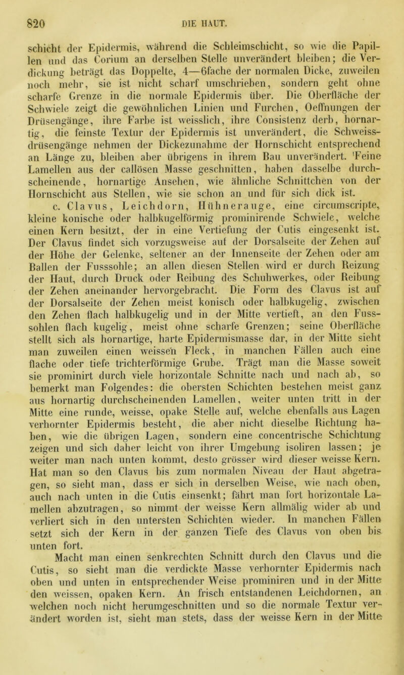 Schicht der Epidermis, während die Schleimschicht, so wie die Papil- len und das Corium an derselben Stelle unverändert bleiben; die Ver- dickung beträgt das Doppelte, 4—6fache der normalen Dicke, zuweilen noch mehr, sie ist nicht scharf umschrieben, sondern geht ohne scharfe Grenze in die normale Epidermis über. Die Oberfläche der Schwiele zeigt die gewöhnlichen Linien und Furchen, Oeffnungen der Drüsengänge, ihre Farbe ist weisslich, ihre Consislenz derb, hornar- tig, die feinste Textur der Epidermis ist unverändert, die Schweiss- driisengänge nehmen der Dickezunahme der Hornschicht entsprechend an Länge zu, bleiben aber übrigens in ihrem Bau unverändert. 'Feine Lamellen aus der callösen Masse geschnitten, haben dasselbe durch- scheinende, hornartige Ansehen, wie ähnliche Schnittchen von der Hornschicht aus Stellen, wie sie schon an und für sich dick ist. c. Clavus, Leichdorn, Hühnerauge, eine circumscripte, kleine konische oder halbkugelförmig prominirende Schwiele, welche einen Kern besitzt, der in eine Vertiefung der Cutis eingesenkt ist. Der Clavus findet sich vorzugsweise auf der Dorsalseite der Zehen auf der Höhe der Gelenke, seltener an der Innenseite der Zehen oder am Ballen der Fusssohle; an allen diesen Stellen wird er durch Reizung der Haut, durch Druck oder Reibung des Schuhwerkes, oder Reibung der Zehen aneinander hervorgebracht. Die Form des Clavus ist auf der Dorsalseite der Zehen meist konisch oder halbkugelig, zwischen den Zehen flach halbkugelig und in der Mitte vertieft, an den Fuss- sohlen flach kugelig, meist ohne scharfe Grenzen; seine Oberfläche stellt sich als hornartige, harte Epidermismasse dar, in der Mitte sieht man zuweilen einen weisseh Fleck, in manchen Fällen auch eine flache oder tiefe trichterförmige Grube. Trägt man die Masse soweit sie prominirt durch viele horizontale Schnitte nach und nach ab, so bemerkt man Folgendes: die obersten Schichten bestehen meist ganz aus hornartig durchscheinenden Lamellen, weiter unten tritt in der Mitte eine runde, weisse, opake Stelle auf, welche ebenfalls aus Lagen verhornter Epidermis besteht, die aber nicht dieselbe Richtung ha- ben, wie die übrigen Lagen, sondern eine concentrische Schichtung zeigen und sich daher leicht von ihrer Umgebung isoliren lassen; je weiter man nach unten kommt, desto grösser wird dieser weisse Kern. Hat man so den Clavus bis zum normalen Niveau der Haut abgetra- gen, so sieht man, dass er sich in derselben Weise, wie nach oben, auch nach unten in die Cutis einsenkt; fährt man fort horizontale La- mellen abzutragen, so nimmt der weisse Kern allmälig wider ah und verliert sich in den untersten Schichten wieder. In manchen Fällen setzt sich der Kern in der ganzen Tiefe des Clavus von oben bis unten fort. Macht man einen senkrechten Schnitt durch den Clavus und die Cutis, so sieht man die verdickte Masse verhornter Epidermis nach oben und unten in entsprechender Weise prominiren und in der xMitte den weissen, opaken Kern. An frisch entstandenen Leichdornen, an welchen noch nicht herumgeschnitten und so die normale Textur ver- ändert worden ist, sieht man stets, dass der weisse Kern in der Mitte