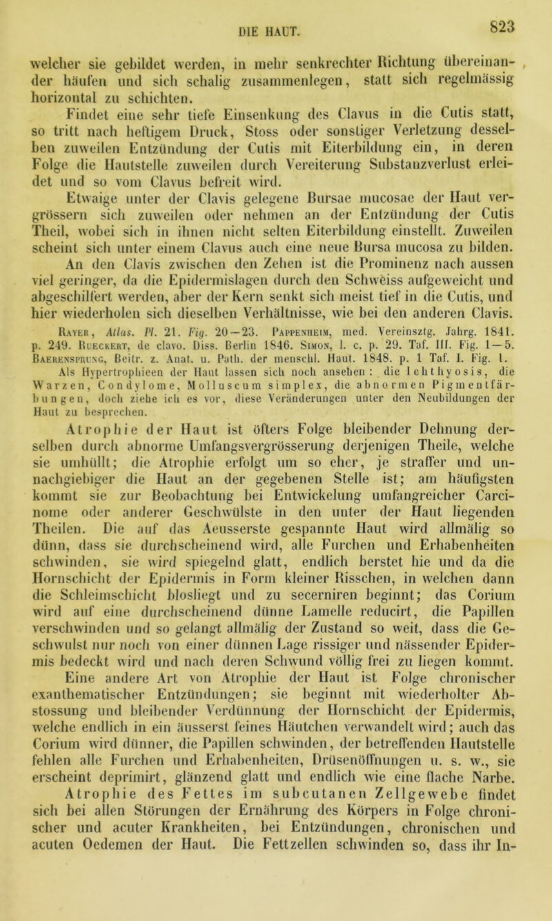 welcher sie gebildet werden, in mehr senkrechter Richtung übereinan- der häufen und sich schalig Zusammenlegen, statt sich regelmässig horizontal zu schichten. Findet eine sehr tiefe Einsenkung des Clavus in die Cutis statt, so tritt nach heftigem Druck, Stoss oder sonstiger Verletzung dessel- ben zuweilen Entzündung der Cutis mit Eiterbildung ein, in deren Folge die Ilautstelle zuweilen durch Vereiterung Substanzverlust erlei- det und so vom Clavus befreit wird. Etwaige unter der Clavis gelegene Bursae mucosae der Haut ver- grössern sich zuweilen oder nehmen an der Entzündung der Cutis Theil, wobei sich in ihnen nicht selten Eiterbildung einstellt. Zuweilen scheint sich unter einem Clavus auch eine neue Bursa mucosa zu bilden. An den Clavis zwischen den Zehen ist die Prominenz nach aussen viel geringer, da die Epidermislagen durch den Sclnveiss aufgeweicht und abgeschilfert werden, aber der Kern senkt sich meist tief in die Cutis, und hier wiederholen sich dieselben Verhältnisse, wie bei den anderen Clavis. Rayer, Alias. PI. 21. Fig. 20 — 23. Pappenheim, med. Vereinsztg. Jalirg. 1841. p. 249. Rueckeht, de clavo. Diss. Berlin 1846. Simon, 1. c. p. 29. Taf. 11f. F'ig. 1 — 5. Baerensprung, ßeitr. z. Anat. u. Path. der menschl. Haut. 1848. p. 1 Taf. I. Fig. I. Als Hypertropliieen der Haut lassen sich noch ansehen : die lchthyosis, die Warzen, Condylome, Molluscum Simplex, die abnormen Pigmentfär- bungen, doch ziehe ich es vor, diese Veränderungen unter den Neubildungen der Haut zu besprechen. Atrophie der Haut ist öfters Folge bleibender Dehnung der- selben durch abnorme Umfangsvergrösserung derjenigen Theile, welche sie umhüllt; die Atrophie erfolgt um so eher, je straffer und un- nachgiebiger die Haut an der gegebenen Stelle ist; am häufigsten kommt sie zur Beobachtung bei Entwickelung umfangreicher Carci- nome oder anderer Geschwülste in den unter der flaut liegenden Theilen. Die auf das Aeusserste gespannte Haut wird allmälig so dünn, dass sie durchscheinend wird, alle Furchen und Erhabenheiten schwinden, sie wird spiegelnd glatt, endlich berstet hie und da die Hornschicht der Epidermis in Form kleiner Bisschen, in welchen dann die Schleimschicht biosliegt und zu secerniren beginnt; das Corium wird auf eine durchscheinend dünne Lamelle reducirt, die Papillen verschwinden und so gelangt allmälig der Zustand so weit, dass die Ge- schwulst nur noch von einer dünnen Lage rissiger und nässender Epider- mis bedeckt wird und nach deren Schwund völlig frei zu liegen kommt. Eine andere Art von Atrophie der Haut ist Folge chronischer exanthematischer Entzündungen; sie beginnt mit wiederholter Ab- stossung und bleibender Verdünnung der Hornschicht der Epidermis, welche endlich in ein äusserst feines Häutchen verwandelt wird; auch das Corium wird dünner, die Papillen schwinden, der betreffenden Ilautstelle fehlen alle Furchen und Erhabenheiten, Drüsenöffnungen u. s. w., sie erscheint deprimirt, glänzend glatt und endlich wie eine flache Narbe. Atrophie des Fettes im subcutanen Zellgewebe findet sich bei allen Störungen der Ernährung des Körpers in Folge chroni- scher und acuter Krankheiten, bei Entzündungen, chronischen und acuten Oedemen der Haut. Die Fett zellen schwinden so, dass ihr In-