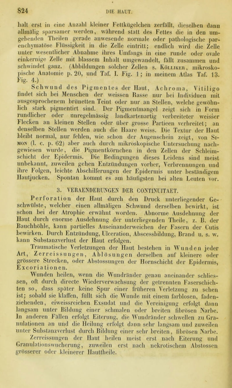 halt erst in eine Anzahl kleiner Fettkügelchen zerfällt, dieselben dann allmälig sparsamer werden, während statt des Fettes die in den um- gebenden Tbeilen gerade anwesende normale oder pathologische par- enchymatöse Flüssigkeit in die Zelle eintritt; endlich wird die Zelle unter wesentlicher Abnahme ihres Umfangs in eine runde oder ovale einkernige Zelle mit blassem Inhalt umgewandelt, fällt zusammen und schwindet ganz. (Abbildungen solcher Zellen s. Kölljker, mikrosko- pische Anatomie p. 20, und Taf. I. Fig. 1; in meinem Atlas Taf. 13. Fig. 4.) Schwund des Pigmentes der Haut, Achroma, Vitiligo findet sich hei Menschen der weissen Rasse nur bei Individuen mit ausgesprochenem brünetten Teint oder nur an Stellen, welche gewöhn- lich stark pigmentirt sind. Der Pigmentmangel zeigt sich in Form rundlicher oder unregelmässig landkartenartig verbreiteter weisser Flecken an kleinen Stellen oder über grosse Partieen verbreitet; an denselben Stellen werden auch die Haare weiss. Die Textur der Haut bleibt normal, nur fehlen, wie schon der Augenschein zeigt, von Si- mon (1. c. p. 62) aber auch durch mikroskopische Untersuchung nach- gewiesen wurde, die Pigmentkörnchen in den Zellen der Schlcim- schicht der Epidermis. Die Bedingungen dieses Leidens sind meist unbekannt, zuweilen gehen Entzündungen vorher, Verbrennungen und ihre Folgen, leichte Abschilferungen der Epidermis unter beständigem Hautjucken. Spontan kommt es am häufigsten hei alten Leuten vor. 3. VERAENDERUNGEN DER CONTINUITAET. Perforation der Haut durch den Druck unterliegender Ge- schwülste, welcher einen allmäligen Schwund derselben bewirkt, ist schon bei der Atrophie erwähnt worden. Abnorme Ausdehnung der Haut durch enorme Ausdehnung der unterliegenden Theile, z. B. der Bauchhöhle, kann partielles Auseinanderweichen der Fasern der Cutis bewirken. Durch Entzündung, Ulceration, Abscessbildung, Brand u. s. w. kann Substanzverlust der Haut erfolgen. Traumatische Verletzungen der Haut bestehen in Wunden jeder Art, Zerreissungen, Ablösungen derselben auf kleinere oder grössere Strecken, oder Abstossungen der Hornschicht der Epidermis, Excoriationen. Wunden heilen, wenn die Wundränder genau aneinander schlos- sen, oft durch directe Wiederverwachsung der getrennten Faserschich- ten so, dass später keine Spur einer früheren Verletzung zu sehen ist; sobald sie klaffen, füllt sich die Wunde mit einem farblosen, faden- ziehenden, eiweissreichen Exsudat und die Vereinigung erfolgt dann langsam unter Bildung einer schmalen oder breiten fibrösen Narbe. In anderen Fällen erfolgt Eiterung, die Wundränder schwellen zu Gra- nulationen an und die Heilung erfolgt dann sehr langsam und zuweilen unter Substanzverlust durch Bildung einer sehr breiten, fibrösen Narbe. Zerreissungen der Haut heilen meist erst nach Eiterung und Granulationswucherung, zuweilen erst nach nekrotischem Abstossen grösserer oder kleinerer Ilauttheile.