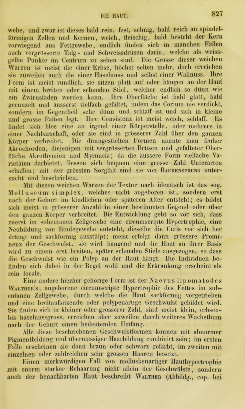 webe, und zwar ist dieses bald rein, fest, seimig, bald reich an spindel- förmigen Zellen und Kernen, weich, fleischig, bald besteht der Kern vorwiegend aus Fettgewebe, endlich linden sich in manchen fällen auch vergrösserte Talg- und Schweissdriisen darin, welche als weiss- gelbe Punkte im Centrum zu sehen sind. Die Grösse dieser weichen Warzen ist meist die einer Erbse, höchst selten mehr, doch erreichen sie zuweilen auch die einer Haselnuss und selbst einer Wallnuss. Ihre Form ist meist rundlich, sie silzen platt auf oder hängen an der Haut mit einem breiten oder schmalen Stiel, welcher endlich so dünn wie ein Zwirnsfaden werden kann. Ihre Oberfläche ist bald glatt, bald gerunzelt und äusserst vielfach gefaltet, indem das Corium nie verdickt, sondern im Gegentheil sehr dünn und schlaff ist und sich in kleine und grosse Falten legt. Ihre Consistenz ist meist weich, schlaff. Es findet sich blos eine an irgend einer Körperstelle, oder mehrere in einer Nachbarschaft, oder sie sind in grösserer Zahl über den ganzen Körper verbreitet. Die dünngestielten Formen nannte man früher Akrochordon, diejenigen mit vergrösserten Drüsen und gefalteter Ober- fläche Akrothymion und Myrmicia; da die äussere Form vielfache Va- rietäten darbietet, Hessen sich bequem eine grosse Zahl Unterarten schaffen; mit der grössten Sorgfalt sind sie von Baerenspruing unter- sucht und beschrieben. Mit diesen weichen Warzen der Textur nach identisch ist das sog. Moll u sc um simplex, welches nicht angeboren ist, sondern erst nach der Geburt im kindlichen oder späteren Alter entsteht; es bildet sich meist in grösserer Anzahl in einer bestimmten Gegend oder über den ganzen Körper verbreitet. Die Entwicklung geht so vor sich, dass zuerst im subcutanen Zellgewebe eine circumscripte Hypertrophie, eine Neubildung von Bindegewebe entsteht, dieselbe die Cutis vor sich her drängt und sackförmig ausstülpt; meist erfolgt dann grössere Promi- nenz der Geschwulst, sie wird hängend und die Haut an ihrer Basis wird zu einem erst breiten, später schmalen Stiele ausgezogen, so dass die Geschwulst wie ein Polyp an der Haut hängt. Die Individuen be- finden sich dabei in der Kegel wohl und die Erkrankung erscheint als rein locale. Eine andere hierher gehörige Form ist der Naevus lipomatodes Walthers, angeborene circumscripte Hypertrophie des Fettes im sub- cutanen Zellgewebe, durch welche die Haut sackförmig vorgetrieben und eine breitaufsitzende oder polypenartige Geschwulst gebildet wird. Sie finden sich in kleiner oder grösserer Zahl, sind meist klein, erbsen- bis haselnussgross, erreichen aber zuweilen durch weiteres Wachsthum nach der Geburt einen bedeutenden Umfang. Alle diese beschriebenen Geschwulstformen können mit abnormer Pigmentbildung und übermässiger Haarbildung combinirt sein; im ersten Falle erscheinen sie dann braun oder schwarz gefärbt, im zweiten mit einzelnen oder zahlreichen sehr grossen Haaren besetzt. Einen merkwürdigen Fall von molluskenartiger Hauthypertrophie mit enorm starker Behaarung nicht allein der Geschwülste, sondern auch der benachbarten Haut beschreibt Walther (Abbildg., cop. bei