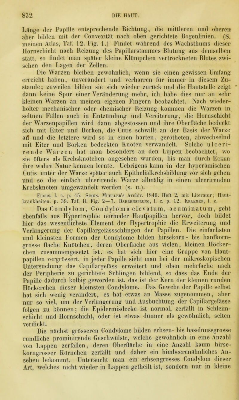 Länge der Papille entsprechende Richtung, die mittleren und oberen aber bilden mit der Convexität nach oben gerichtete Bogenlinien. (S. meinen Atlas, Taf. 12. Fig. 1.) Findet während des Wachsthums dieser Hornschicht nach Reizung des Papillarstammes Blutung aus demselben statt, so findet man später kleine Klümpchen vertrockneten Blutes zwi- schen den Lagen der Zellen. Die Warzen bleiben gewöhnlich, wenn sie einen gewissen Umfang erreicht haben, unverändert und verharren für immer in diesem Zu- stande; zuweilen bilden sie sich wieder zurück und die Hautstelle zeigt ' dann keine Spur einer Veränderung mehr, ich habe dies nur an sehr kleinen Warzen an meinen eigenen Fingern beobachtet. Nach wieder- holter mechanischer oder chemischer Reizung kommen die Warzen in seltnen Fällen auch in Entzündung und Vereiterung, die Hornschicht der Warzenpapillen wird dann abgestossen und ihre Oberfläche bedeckt sich mit Eiter und Borken, die Cutis schwillt an der Basis der Warze art und die letztere wird so in einen harten, gerötheten, abwechselnd mit Eiter und Borken bedeckten Knoten verwandelt. Solche ulceri- rende Warzen hat man besonders an den Lippen beobachtet, wo sie öfters als Krebsknötchen angesehen wurden, bis man durch Ecker ihre wahre Natur kennen lernte. Uebrigens kann in der hyperämischen Cutis unter der Warze später auch Epithelialkrebsbildung vor sich gehen und so die einfach ulcerirende Warze allmälig in einen ulcerirenden Krebsknoten umgewandelt werden (s. u.). Fuchs, I. c. p. 45. Simon, Mueller’s Archiv. 1840. Heft 2, mit Literatur; Haut- krankheiten. p. 39. Taf. II. Fig. 2—7. Baerensprung, 1. c. p. 12. Kraemer, 1. c. Das Condylom, Condyloma elevatum, acuminatum, geht ebenfalls aus Hypertrophie normaler Hautpapillen hervor, doch bildet hier das wesentlichste Element der Hypertrophie die Erweiterung und Verlängerung der Capillargefässschlingen der Papillen. Die einfachsten und kleinsten Formen der Condylome bilden hirsekorn- bis hanfkorn- grosse flache Knötchen, deren Oberfläche aus vielen, kleinen Höcker- chen zusammengesetzt ist, es hat sich hier eine Gruppe von Haut- papillen vergrössert, in jeder Papille sieht man bei der mikroskopischen Untersuchung das Capillargefäss erweitert und oben mehrfache nach der Peripherie zu gerichtete Schlingen bildend, so dass das Ende der Papille dadurch kolbig geworden ist, das ist der Kern der kleinen runden Höckerchen dieser kleinsten Condylome. Das Gewebe der Papille selbst hat sich wenig verändert, es hat etwas an Masse zugenommen, aber nur so viel, um der Verlängerung und Ausbuchtung der Capillargefässe folgen zu können; die Epidermisdecke ist normal, zerfällt in Schleim- schicht und Hornschicht, oder ist etwas dünner als gewöhnlich, selten verdickt. Die nächst grösseren Condylome bilden erbsen- bis haselnussgrosse rundliche prominirende Geschwülste, welche gewöhnlich in eine Anzahl von Lappen zerfallen, deren Oberfläche in eine Anzahl kaum hirse- korngrosser Körnchen zerfällt und daher ein himbeerenähnliches An- sehen bekommt. Untersucht man ein erbsengrosses Condylom dieser Art, welches nicht wieder in Lappen getheilt ist, sondern nur in kleine