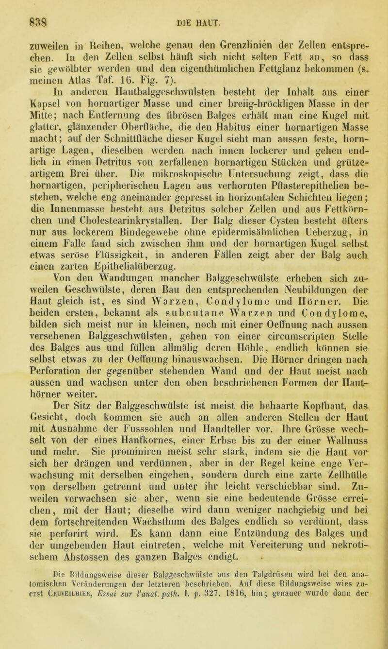 zuweilen in Reihen, welche genau den Grenzlinien der Zellen entspre- chen. In den Zellen selbst häuft sich nicht selten Fett an, so dass sie gewölbter werden und den eigenthümlichen Fettglanz bekommen (s. meinen Atlas Taf. 16. Fig. 7). In anderen Hautbalggeschwülsten besteht der Inhalt aus einer Kapsel von hornartiger Masse und einer breiig-bröckligen Masse in der Mitte; nach Entfernung des fibrösen Balges erhält man eine Kugel mit glatter, glänzender Oberfläche, die den Habitus einer bornartigen Masse macht; auf der Schnittfläche dieser Kugel sieht man aussen feste, horn- artige Lagen, dieselben werden nach innen lockerer und gehen end- lich in einen Detritus von zerfallenen hornartigen Stücken und grütze- artigem Brei über. Die mikroskopische Untersuchung zeigt, dass die hornartigen, peripherischen Lagen aus verhornten Pflasterepithelien be- stehen, welche eng aneinander gepresst in horizontalen Schichten liegen; die Innenmasse besteht aus Detritus solcher Zellen und aus Fettkörn- chen und Cholestearinkrystallen. Der Balg dieser Cysten besteht öfters nur aus lockerem Bindegewebe ohne epidermisähnlichen Ueberzug, in einem Falle fand sich zwischen ihm und der bornartigen Kugel selbst etwas seröse Flüssigkeit, in anderen Fällen zeigt aber der Balg auch einen zarten Epithelialüberzug. Von den Wandungen mancher Balggeschwülste erheben sich zu- weilen Geschwülste, deren Bau den entsprechenden Neubildungen der Haut gleich ist, es sind Warzen, Condylome und Hörner. Die beiden ersten, bekannt als subcutane Warzen und Condylome, bilden sich meist nur in kleinen, noch mit einer Oeffnung nach aussen versehenen Balggeschwülsten, gehen von einer circumscripten Stelle des Balges aus und füllen allmälig deren Höhle, endlich können sie selbst etwas zu der Oeffnung hinauswachsen. Die Hörner dringen nach Perforation der gegenüber stehenden Wand und der Haut meist nach aussen und wachsen unter den oben beschriebenen Formen der Haut- hörner weiter. Der Sitz der Balggeschwülsle ist meist die behaarte Kopfhaut, das Gesicht, doch kommen sie auch an allen anderen Stellen der Haut mit Ausnahme der Fusssohlen und Handteller vor. Ihre Grösse wech- selt von der eines Ilanfkornes, einer Erbse bis zu der einer Wallnuss und mehr. Sie prominiren meist sehr stark, indem sie die Haut vor sich her drängen und verdünnen, aber in der Regel keine enge Ver- wachsung mit derselben eingehen, sondern durch eine zarte Zellhülle von derselben getrennt und unter ihr leicht verschiebbar sind. Zu- weilen verwachsen sie aber, wenn sie eine bedeutende Grösse errei- chen, mit der Haut; dieselbe wird dann weniger nachgiebig und bei dem fortschreitenden Wachsthum des Balges endlich so verdünnt, dass sie perforirt wird. Es kann dann eine Entzündung des Balges und der umgebenden Haut eintreten, welche mit Vereiterung und nekroti- schem Abstossen des ganzen Balges endigt. Die Bildungsweise dieser Balggeschwiilste aus den Talgdrüsen wird bei den ana- tomischen Veränderungen der letzteren beschrieben. Auf diese Bildungsweise wies zu- erst Crüveilhier, Essai sur l’anat. palh. I. p. 327. 1816, hin; genauer wurde dann der