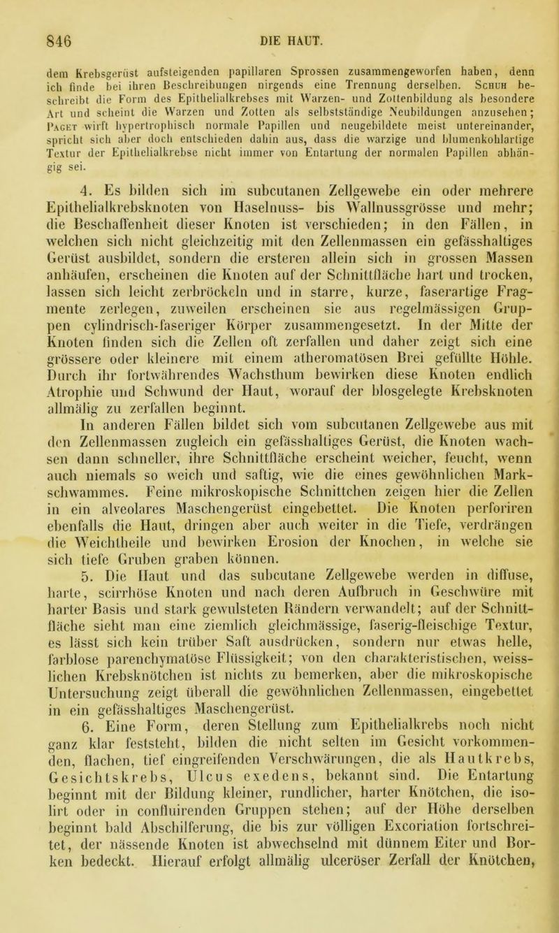 dem Krebsgerast aufsteigenden papillären Sprossen zusammengeworfen haben, denn ich finde bei ihren Beschreibungen nirgends eine Trennung derselben. Schuh be- schreibt die Form des Epithelialkrebses mit Warzen- und Zottenbildung als besondere Art und scheint die Warzen und Zotten als selbstständige Neubildungen anzusehen; Paget wirft hypertrophisch normale Papillen und neugebildete meist untereinander, spricht sich aber doch entschieden dahin aus, dass die warzige und blumenkohlartige Textur der Epithelialkrebse nicht immer von Entartung der normalen Papillen abhän- gig sei. 4. Es bilden sich im subcutanen Zellgewebe ein oder mehrere Epithelialkrebsküoten von Haselnuss- bis Wallnussgrösse und mehr; die Beschaffenheit dieser Knoten ist verschieden; in den Fällen, in welchen sich nicht gleichzeitig mit den Zellenmassen ein gefasshaltiges Gerüst ausbildet, sondern die ersteren allein sich in grossen Massen anhäufen, erscheinen die Knoten auf der Schnittfläche hart und trocken, lassen sich leicht zerbröckeln und in starre, kurze, faserartige Frag- mente zerlegen, zuweilen erscheinen sie aus regelmässigen Grup- pen cylindrisch-faseriger Körper zusammengesetzt. In der Mitte der Knoten finden sich die Zellen oft zerfallen und daher zeigt sich eine grössere oder kleinere mit einem atheromatösen Brei gefüllte Höhle. Durch ihr fortwährendes Wachsthum bewirken diese Knoten endlich Atrophie und Schwund der Haut, worauf der blosgelegte Krebsknoten allmalig zu zerfallen beginnt. In anderen Fällen bildet sich vom subcutanen Zellgewebe aus mit den Zellenmassen zugleich ein gefasshaltiges Gerüst, die Knoten wach- sen dann schneller, ihre Schnittfläche erscheint weicher, feucht, wenn auch niemals so weich und saftig, wie die eines gewöhnlichen Mark- schwammes. Feine mikroskopische Schnittchen zeigen hier die Zellen in ein alveolares Maschengerüst eingebettet. Die Knoten perforiren ebenfalls die Haut, dringen aber auch weiter in die Tiefe, verdrängen die Weichtheile und bewirken Erosion der Knochen, in welche sie sich tiefe Gruben graben können. 5. Die Haut und das subcutane Zellgewebe werden in diffuse, barte, scirrhöse Knoten und nach deren Aufbruch in Geschwüre mit harter Basis und stark gewulsteten Rändern verwandelt; auf der Schnitt- fläche sieht man eine ziemlich gleichmässige, faserig-fleischige Textur, es lässt sich kein trüber Saft ausdrücken, sondern nur etwas helle, farblose parenchymatöse Flüssigkeit; von den charakteristischen, weiss- üchen Krebsknötchen ist nichts zu bemerken, aber die mikroskopische Untersuchung zeigt überall die gewöhnlichen Zellenmassen, eingebettet in ein gefässhaltiges Maschengerüst. 6. Eine Form, deren Stellung zum Epithelialkrebs noch nicht ganz klar feststeht, bilden die nicht selten im Gesiebt vorkommen- den, flachen, tief eingreifenden Verschwärungen, die als Hautkrebs, Gesichtskrebs, Ulcus exedens, bekannt sind. Die Entartung beginnt mit der Bildung kleiner, rundlicher, harter Knötchen, die iso- lirt oder in confluirenden Gruppen stehen; auf der Höhe derselben beginnt bald Abschilferung, die bis zur völligen Excoriation fortschrei- tet, der nässende Knoten ist abwechselnd mit dünnem Eiter und Bor- ken bedeckt. Hierauf erfolgt allmälig ulcerüser Zerfall der Knötchen,
