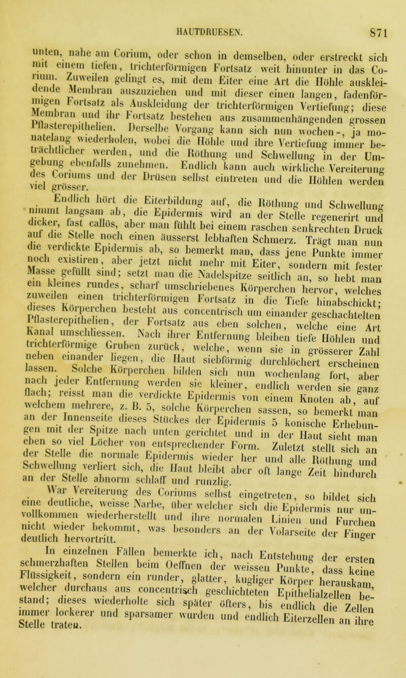 HAUTDRUESEN. 87t unten, nahe am Corium, oder schon in demselben, oder erstreckt sich mit einem tiefen, trichterförmigen Fortsatz weit hinunter in das Co- nmn Zuweilen gelingt es, mit dem Eiter eine Art die Höhle ausklei- uemte Membran auszuziehen und mit dieser einen langen, fadenför- imgen I ortsatz Ms Auskleidung der trichterförmigen Vertiefung; diese em ian um in Foitsatz bestehen aus zusammenhängenden grossen Pflasterep.lhehen Derselbe Vorgang kann sich nun wochen-, ja mo- natehing wiederholen, wobei die Höhle und ihre Vertiefung immer be- tidchthchei werden, und die Röthung und Schwellung in der Um- gehung ebenfalls zunehmen. Endlich kann auch wirkliche Vereiterung des Commis und der Drüsen seihst ein treten und die Höhlen werden viel grösser. Endlich hört die Eiterbildung auf, die Röthung und Schwellung nimmt langsam ab die Epidermis wird an der Stelle regenerirt und aufkfhc tllC;ft,IO% aber man mhlt b,ei eillem raschen senkrechten Druck aut die Stelle noch einen äusserst lebhaften Schmerz. Trägt man nun die verdickte Epidermis ah, so bemerkt man, dass jene Punkte immer noch existiren, aber jetzt nicht mehr mit Eiter, sondern mit fester ilasse gefüllt sind; setzt man die Nadelspitze seitlich an, so hebt man ein k eines rundes, scharf umschriebenes Körperchen hervor, welches zuweilen einen trichterförmigen Fortsatz in die Tiefe hinabschickt • pflesef Köi;Pei;chen besteht aus concentrisch um einander geschachtelten Pflasterepithehen, der Fortsatz aus eben solchen, welche eine Art trfrhtp T.SCh 16SrenV Nach ih,rer Entfernung bleiben tiefe Höhlen und chteiloinnge Gruben zurück, welche, wenn sie in grösserer Zahl nel,e„ einander liegen, die Haut siebtem,lg durchlöchert ersehenen lassen. Solche Körperchen bilden sich nun wochenlang fort aber nach jeder Entfernung werden sie kleiner, endlich werden sie ganz flach; reisst man die verdickte Epidermis von einem Knoten ah 'auf we ehern mehrere, z. B. 5, solche Körperchen sassen, so bemerkt’man an cer Innenseite dieses Stückes der Epidermis 5 konische Erhebun- unten gerichtet und in der Haut sieht man entsprechender Form. Zuletzt stellt sich mit eben so gen der Spitze nach viel Löcher von der Stelle die normale Epidermis wieder her und alle Röthun« 'und -- ?“ H«»« Weibl aber oft lange Zeit hindurch Schwellung verliert sich, an der Stelle abnorm schlaff und runzlig War Vereiterung des Coriums selbst eingetreten, so bildet sich eine deutliche, weisse Narbe, über welcher sich die Epidermis nur un- vollkommen wiederherstellt und ihre normalen Linien und Furchen mch wieder bekommt, was besonders an der Volarseite der Fiimer deutlich hervortritt. IHöer In einzelnen Fällen bemerkte ich, schmerzhaften Stellen heim Oelfncn der Flüssigkeit, sondern ein runder, glatter, Kuguger Körper herauskam welcher durchaus aus concentrisch geschichteten Epilhelialzcllen h!’ stand; dieses wiederholte sich später öfters, bis endlich die Zeiten Steile' tratenPCr S1,a's;,mer »»d endlich Eilerzellen aii ite nach Entstehung weissen Punkte, der ersten dass keine