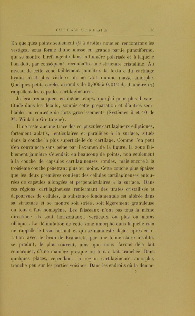 CAI’.TILACE AIlTinULAinE. nn En quelques points seulement (2 à droite) nous en rencontrons les vestiges, sous tbrrne d’une masse en grande partie punctiforme, qui se montre biréfringente dans la lumière polarisée et à laquelle l’on doit, par conséquent, reconnaître une structure cristalline. Au niveau de cette zone faiblement jaunâtre, la texture du cartilage hyalin n’est plus visible : on ne voit qu’une masse amorphe. Quelques petits cercles arrondis de 0,009 à 0,012 de diamètre (/?) rappellent les capsules cartilagineuses. Je ferai remarquer, en même temps, que j’ai pour plus d’exac- titude dans les détails, soumis cette préparation et d’autres sem- blables au contrôle de forts grossissements (Systèmes 9 et 10 de i\I. Winkel à Gœltingue). 11 ne reste aucune trace des corpuscules cartilagineux elliptiques, fortement aplatis, lenticulaires et parallèles à la surface, situés dans la couche la plus superficielle du cartilage. Comme l’on peut s’en convaincre sans peine par l’examen de la figure, la zone fai- blement jaunâtre s’étendait en beaucoup de points, non seulement à la couche de capsules cartilagineuses rondes, mais encore à la troisième couche pénétrant plus ou moins. Cette couche plus épaisse que les deux premières contient des cellules cartilagineuses entou- rées de capsules allongées et perpendiculaires a la surface. Dans ces régions cartilagineuses renfermant des urates cristallisés et dépourvues de cellules, la substance fondamentale est altérée dans sa structure et se montre soit striée, soit légèrement granuleuse ou tout à fait homogène. Les faisceaux n’ont pas tous la même direction: ils sont horizontaux, verticaux ou plus ou moins obliques. La délimitation de cette zone amorphe dans laquelle rien ne rappelle le tissu normal et qui se manifeste déjà, après colo- ration avec le brun de Bismarck, par une teinte claire insolite, se produit, le plus souvent, ainsi que nous l’avons déjà fait remarquer, d’une manière presque ou tout à fait tranchée. Dans quelques places, cependant, la région cartilagineuse amorphe, tranche peu sur les parties voisines. Dans les endroits où la démar- 3