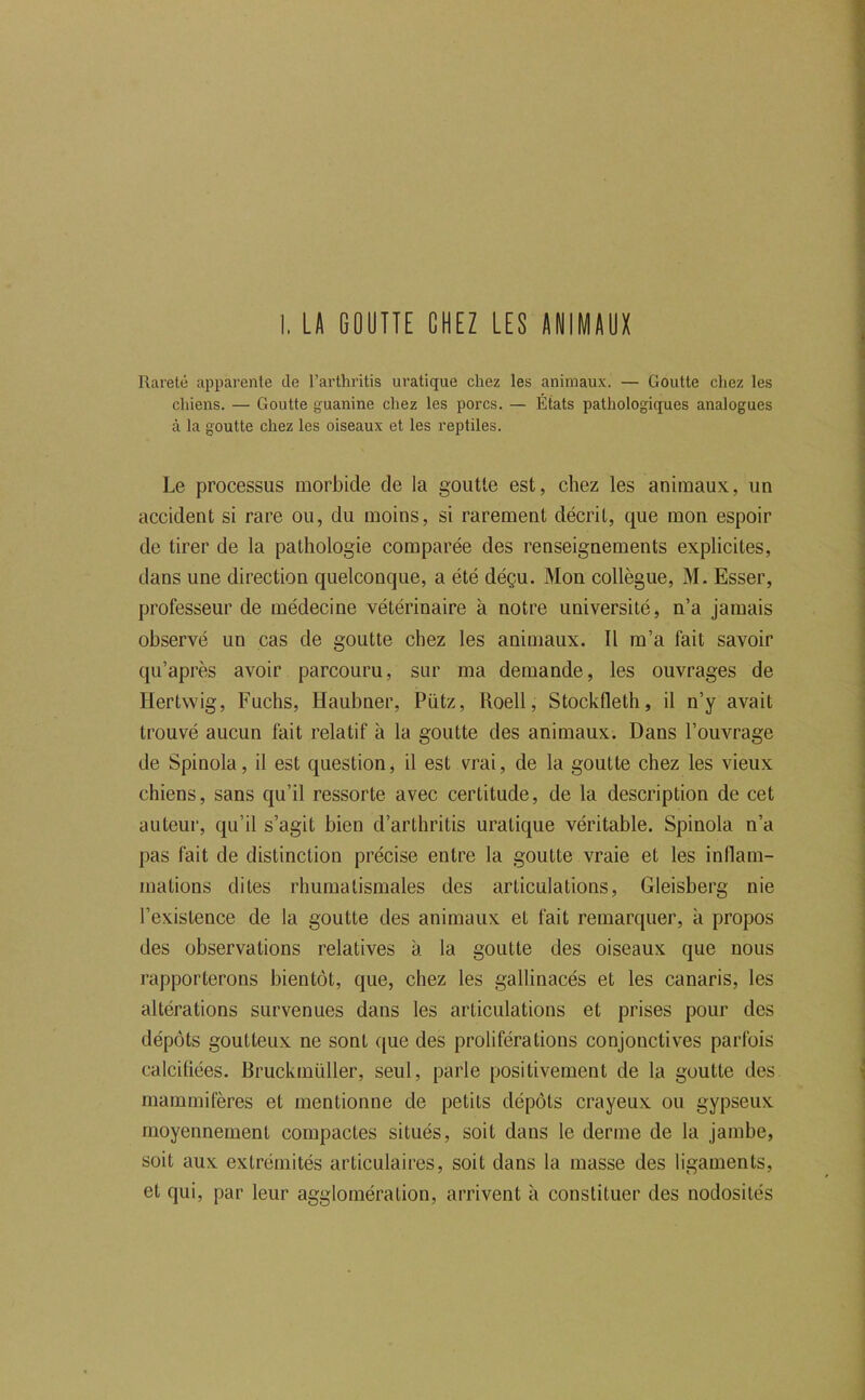 Rareté apparente de l’arthritis uratique chez les animaux. — Goutte chez les chiens. — Goutte guanine chez les porcs. — États pathologiques analogues à la goutte chez les oiseaux et les reptiles. Le processus morbide de la goutte est, chez les animaux, un accident si rare ou, du moins, si rarement décrit, que mon espoir de tirer de la pathologie comparée des renseignements explicites, dans une direction quelconque, a été déçu. Mon collègue, M. Esser, professeur de médecine vétérinaire à notre université, n’a jamais observé un cas de goutte chez les animaux. Il m’a fait savoir qu’après avoir parcouru, sur ma demande, les ouvrages de Hertwig, Fuchs, Haubner, Pütz, Roell, Stockfleth, il n’y avait trouvé aucun fait relatif à la goutte des animaux. Dans l’ouvrage de Spinola, il est question, il est vrai, de la goutte chez les vieux chiens, sans qu’il ressorte avec certitude, de la description de cet auteur, qu’il s’agit bien d’arthritis uratique véritable. Spinola n’a pas fait de distinction précise entre la goutte vraie et les inflam- mations dites rhumatismales des articulations, Gleisberg nie l’existence de la goutte des animaux et fait remarquer, à propos des observations relatives à la goutte des oiseaux que nous rapporterons bientôt, que, chez les gallinacés et les canaris, les altérations survenues dans les articulations et prises pour des dépôts goutteux ne sont ([ue des proliférations conjonctives parfois calcinées. Bruckmüller, seul, parle positivement de la goutte des mammifères et mentionne de petits dépôts crayeux ou gypseux moyennement compactes situés, soit dans le derme de la jamhe, soit aux extrémités articulaires, soit dans la masse des ligaments, et qui, par leur agglomération, arrivent à constituer des nodosités