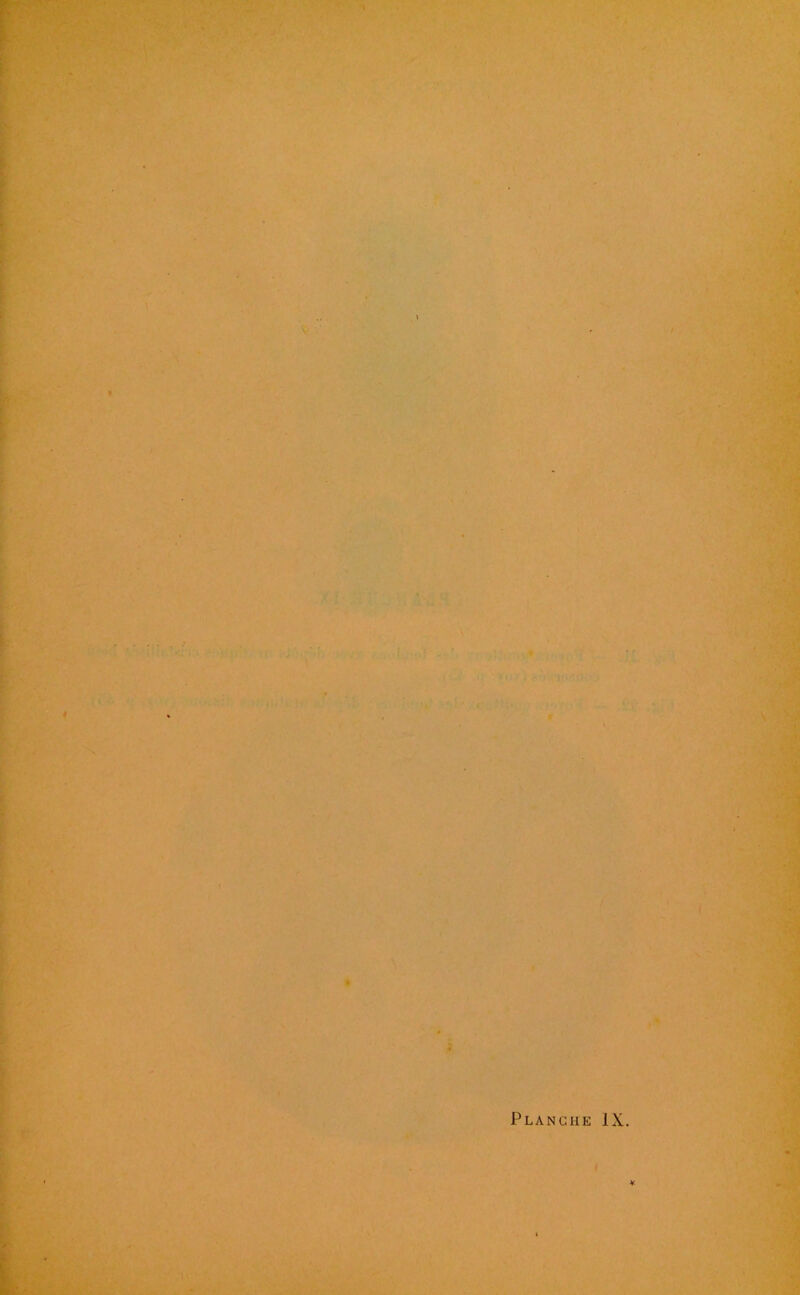 Planche IX.
