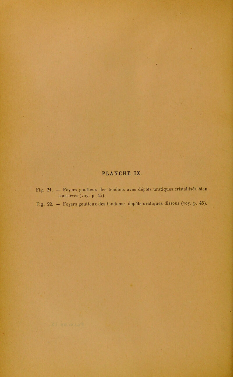 Fig. 21. — Foyers goutteux des tendons avec dépôts uraliques cristallisés bien conservés (voy. p. 45).