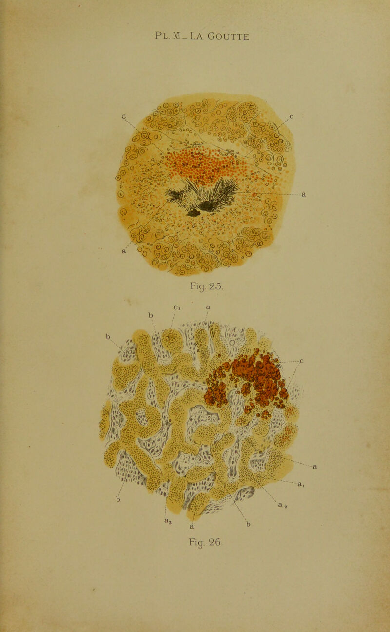 -î ' oÿ*'»* Fig. 25. .a-.? ,;;:5o - • ' I©. • -•; a' Fig. 26.
