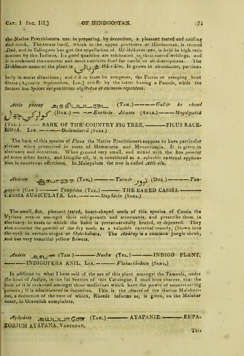 the Native Practitioners use in preparing, by decoction, a pleasant fasted and cooling diet dunk. The tirass itself, which in the upper provinces ot iliiiiloustan, is termed .JJuh, and in I'elingoos has got the appellation ot Ge ikekmso wo't, is held in high esct- mation by the Indians. Its good qualities are celebrated in their sacrcdVritiiigs, and it is reckoned the sweetest and n»ost nutritive food for cattle ()t all descriptions. '1 iie ]Dukhanie name ot the plant is J U ^ Ufiii’ialie, It grows in abundance, particus larly in moist situations; andd d rs trom its congener, the Florin or creeping bent Grass (Agiosiis Stolonifeia. Lui.) cldtflv by the latter having a Panicle, while the iormer has Spicas su^yuaternas d'lgitutus et cuimum repentem. /m\e puttay ^g^uJLJl (S)» (Tam.) — GuHef ke chawl Jemeez (Arab,)— Maydiputti (Tkl.) BAKK OF THE COU.NTRY FIG TREE. FICUS RACE- jiiOiA. Lin. ——Oudumbuna (Sans.) The bark of this species of Ficus the Native Practitioners suppose to have particular ..virtues when prescrihed in cases of Hematuria and Menorrhagia. It is given in electuary aud decoction. When ground very small, and mixed with the fine powder of Some other barks, and Gingilie oil, it is considered as a valuable external applica- tion in caucerous affections, in Malayalum the tree is called ^tti-alu. ^varay o\_J rrQ3) T gayrfc (Can ) Tangedoo (TeL;) CASSIA AUUICULATA. Lin,—— ilayharie (Sans.) • Turuer y (Duk.)——-‘—Tan- THE EARED CASSIA. - Tiie small, flat, pleasant tasted, heart-shaped seeds of this species of Cassia the Vytians reckon amongst their refrigerants and atlenuants, and prescribe them, ia ' electuary, in cases in which the habit is preternatnrally heated, or depraved. 'I'hey also consider the powder of the dry seeds as a valuable external remedy, (blown into the eye) in certain stages ot Ophthalmia, The is a common jungle shrub, .and has very beautiful yellow flowers. yfverie (Tam ) — — Nee lie (Tel.)————INDIGO PLANT. INDIGOFERA ANIL. Lin,— F'ishashodinie (Sans.) In addition to what I have said of the use of this plant amongst theTamools, under the head of Indigo, in the 1st Section of this Catalogue, I shall here observe, that the root of it is reckoned amongst those medicines which have the power of counteracting ‘poisons; it is administered in decoction. This is the of the Hortus Malabari- cus, a decoction of the root of which, Eheede informs us, is given, on the Malabar coast, in Gravelish complaints, ^yapdnit _2iHJUi_JLJrrC<5t>r (Tam.) AYAPANIE.-- EUPA- XOmUM AYAPAN.A. Ybntbnat, This