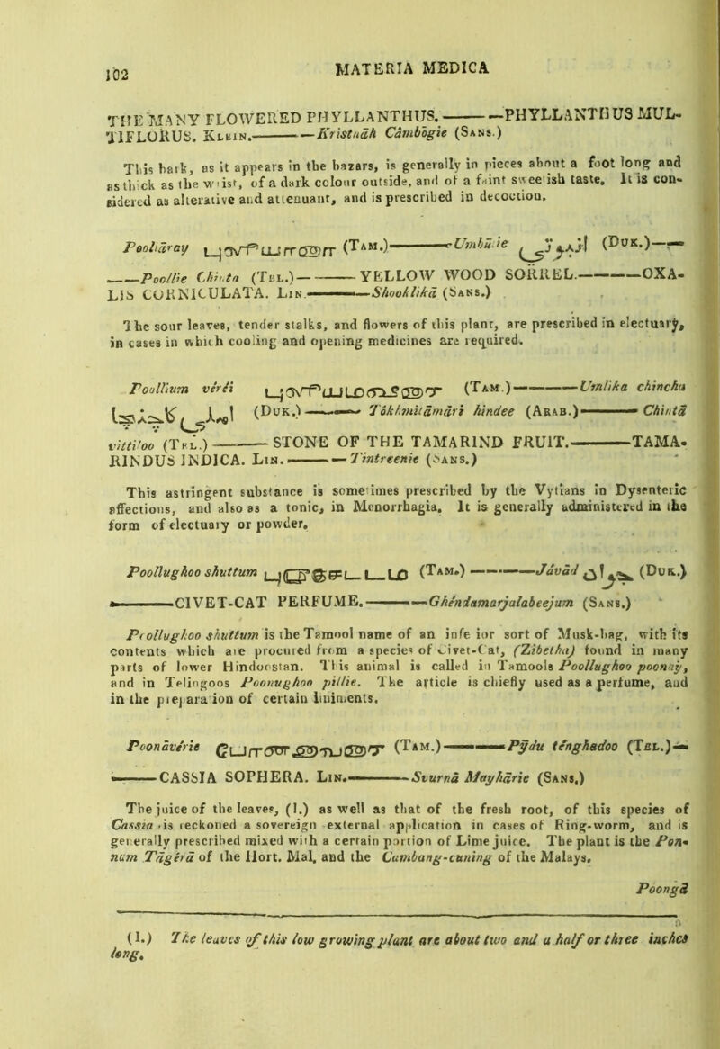 THE MANY FLOWERED PMYLLANTHUS. —PHYLLANTIKJS MUL- UTFLOKUS. Klein. Kristuah Cambogie (Sans.) Tills hark, as it appears in the bazars, is generally in pieces ahnnt a foot long and BS thick as the wdsf, of a dark colour outside, and of a faint swee'isb taste, It'is con- sider td as alterative and altcauaiit, and is prescribed in decoction, Pooha^ay i tr«~gl'rr rU77Jju ie (F>uk.) — Pooine Chh.tn (Tei..) YELLOW WOOD SORREL. OXA- LIC CURNICULATA. Lin ————Shnokhkd (Sans.) The sour leaves, tender stalks, and flowers of this plant, are prescribed in electuarjt, in cases in which cooling and opening medicines are leq^uired. l_ji!N'^<JLiL£>(T:i-SQ2)Cr (Tam.)—-— UmUka chtnehu (Duk.) .• ■■■’ ’ 'J6kfi7HUdmdri htndee (Arab.)* ■■ ' — Ch'intd vitet'oo (IFL.; STONE OF THE TAMARIND FRUIT. TAMA. RINDUS INDICA. Lin... - —Tintrtenit (*ans.) This astringent substance is someTmes prescribed by the Vylians in Dysenteric ofifections, and also as a tonic« in Menorrhagia. It is generally administered in the form of electuary or powder. PoulVium verPt Poollugkoo shuttum i I LjO (Tam.) —^.m—^Jdvdd (Duk,.) ———CIVET-CAT PERFUME, - •^Gheniamarjalaheejum (Sans.) /*ro//e/^/oo is the Tamool name of an infe ior sort of Mnsk-bag, with its contents which ate prociiied fr<>m a specie's of v;ivet-('at, (Tiibetha) found in many prrts of lower Hindocsian. I'l is animal is called in Tamoolspoonay, and in Telingoos Poouv^hoo piUie. The article is chiefly used as a perfume, and in the piej.ara ion of certain liniments. Poondvene (Ji_jn-t5W^'TVjOO’ (Tam.) ■■■ •Pydu tengh&doo (Tbl.)— — ■ CASSIA SOPHERA. Lin.— ■ Svurna Mayhdrie (Sans.) The juice of the leaves, (I.) as well as that of the fresh root, of this species of Cassia -is leckoned a sovereign external apjdication in cases of Ring-worm, and is generally prescribed mixed with a certain portion of Lime juice. The plant is ibe Pon^ nam Tdgird of the Hort. Mai. and the Cumhang-cuning of the Malays. Poongd (1.) 7 he leaves />f this low growing plant are about two and a half or three iathei long.