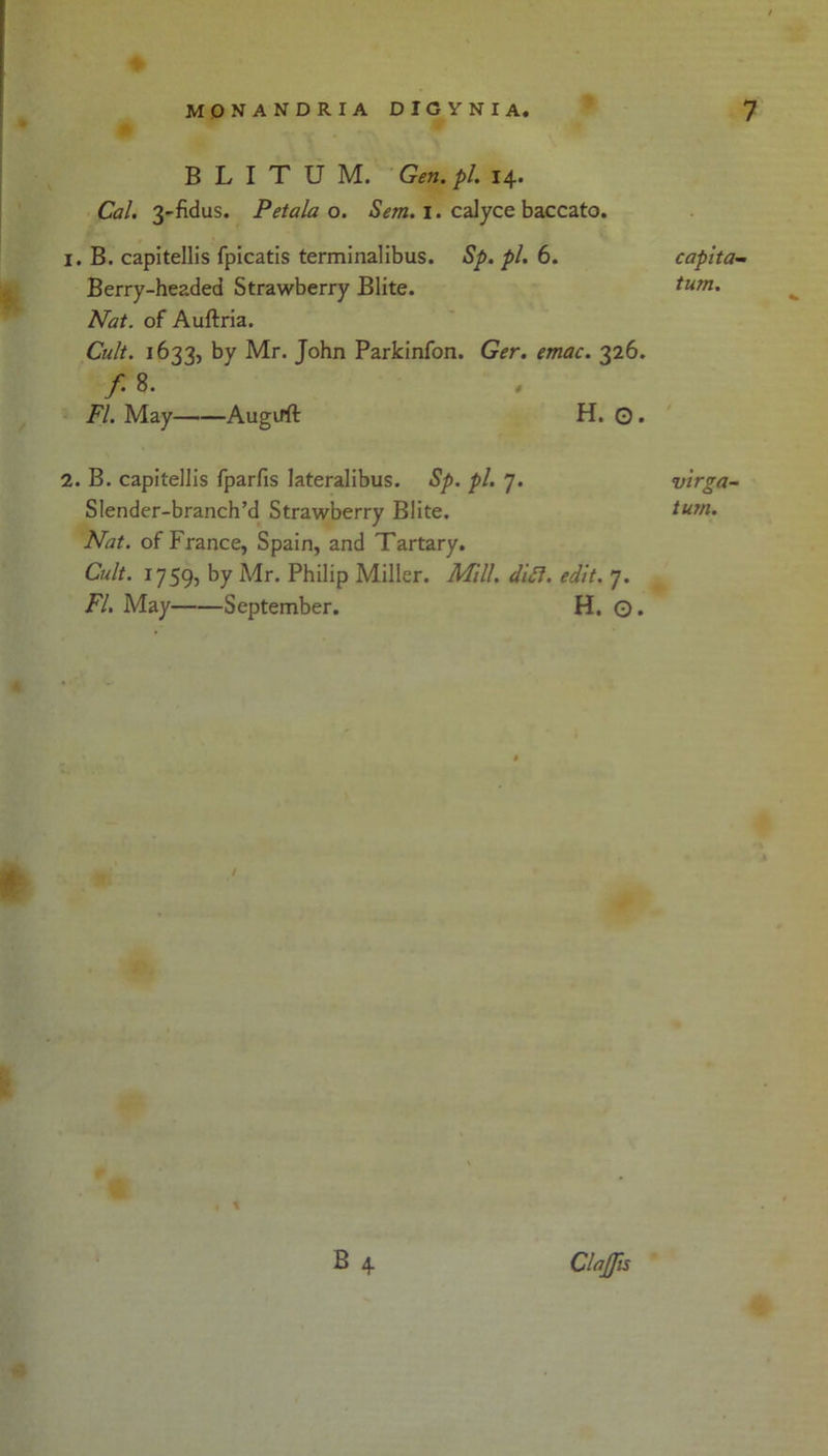 B L I T U M. Gen. pi 14. Cal. 3-fidus. Petala o. Sem. I. calyce baccato. 1. B. capitellis fpicatis terminalibus. Sp. pi. 6. Berry-headed Strawberry Blite. Nat. of Auftria. Cult. 1633, by Mr. John Parkinfon. Ger. emac. 326. /. 8- FI. May Augirft H. O. 2. B. capitellis fparfis lateralibus. Sp. pi. 7. Slender-branch’d Strawberry Blite. Nat. of France, Spain, and Tartary. Cult. 1759, by Mr. Philip Miller. Mill. dift. edit. 7. FI. May September. H. O. / * B 4 capita- turn. virga- tum.