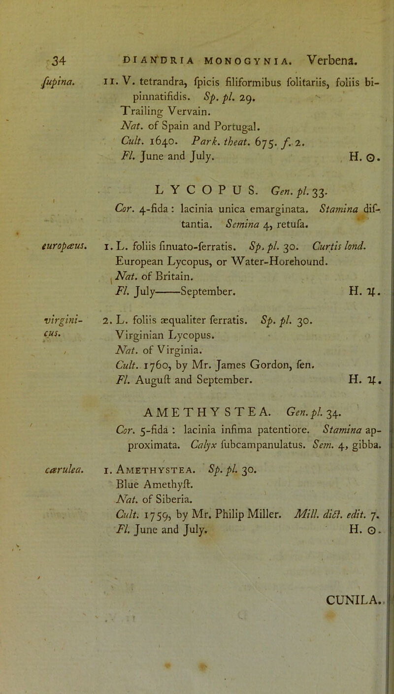 fupina. europaus. virgini- cus. * *'• carulea. II. V. tetrandra, fpicis filiformibus folitariis, foliis bi- pinnatifidis. Sp. pi. 29. Trailing Vervain. Nat. of Spain and Portugal. Cult. 1640. Park, the at. 675. f. 2. FI. June and July. H. Q. L Y C O P U S. Gen. pi. 33. Cor. 4-fida : lacinia unica emarginata. Stamina dif- tantia. Semina 4, retufa. 1. L. foliis finuato-ferratis. Sp. pi. 30. Curtis land. European Lycopus, or Water-Horehound. Nat. of Britain. FI. July September. H. If. 2. L. foliis sequaliter ferratis. Sp. pi. 30. Virginian Lycopus. Nat. of Virginia. Cult. 1760, by Mr. James Gordon, fen. FI. Auguft and September. H. If. AMETHYSTEA. Gen. pi. 34. Cor. 5-fida : lacinia infima patentiore. Stamina ap- proximata. Calyx fubcampanulatus. Sem. 4, gibba. 1. Amethystea. Sp. pi. 30. Blue Amethyft. Nat. of Siberia. Cult. 1759, by Mr. Philip Miller. Mill. dift. edit. 7. FI. June and July. H. O- CUNILA.