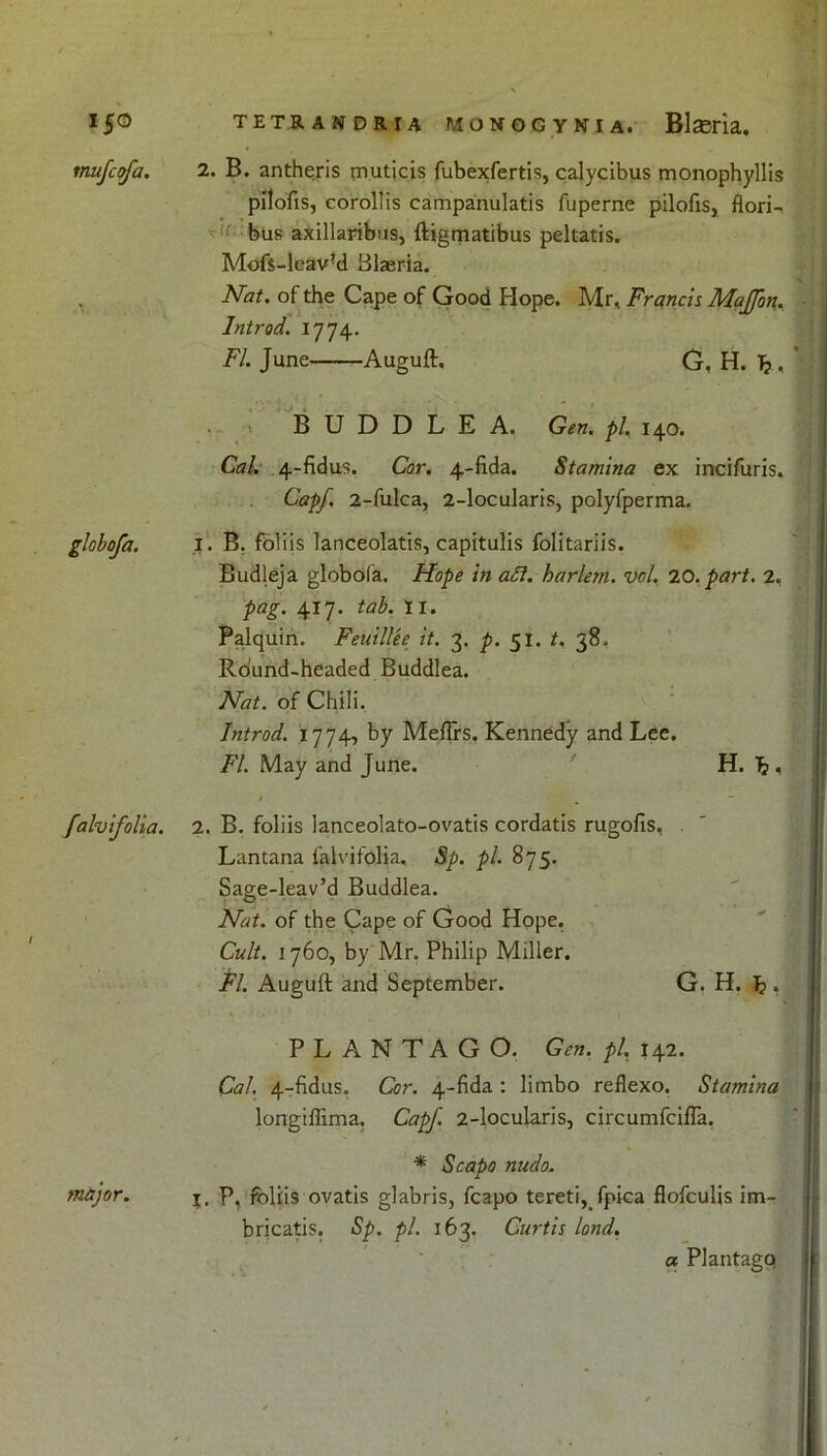 tnufcofa. 2. B. antheris muticis fubexfertis, calycibus monophyllis pilofis, corollis campanulatis fuperne pilofis, flori- ;'bus axillaribus, ftigmatibus peltatis. Moft-leav’d Blaeria. Nat. of the Cape of Good Hope. Mr. Francis Majfon. j Introd. 1774. FI. June Auguft. G, H. ' . .. 1 B U D D L E A. Gen. pi. 140. Cal. 4-fidus. Cor. 4-fida. Stamina ex incifuris. Capf. 2-fulca, 2-locularis, polyfperma. globofa. I. B. foliis lanceolatis, capitulis folitariis. Budleja globola. Hope in aft. harlem. vol. 20. part. 2. pag. 417. tab. 11. Palquin. Feuillee it. 3. p. 51. t. 38. Rbund-headed Buddlea. Nat. of Chili. Introd. 1774, by Meflrs. Kennedy and Lee. FI. May and June. H. J3 , falvifolia. 2. B. foliis lanceolato-ovatis cordatis rugofis, Lantana falvifolia. Sp. pi. 875. Sage-leav’d Buddlea. Nat. of the Cape of Good Hope. Cult. 1760, by Mr. Philip Miller. FI. Auguft and September. G. H. £ , a , . . PLANTAGO. Gen. pi. 142. Cal. 4-fidus. Cor. 4-fida : limbo reflexo. Stamina longiffima. Capf. 2-locularis, circumfcifla. * Scapo nudo. major. j. p, foliis ovatis glabris, fcapo tereti, fpica flofeulis im- bricatis. Sp. pi. 163. Curtis lond. a Plantago