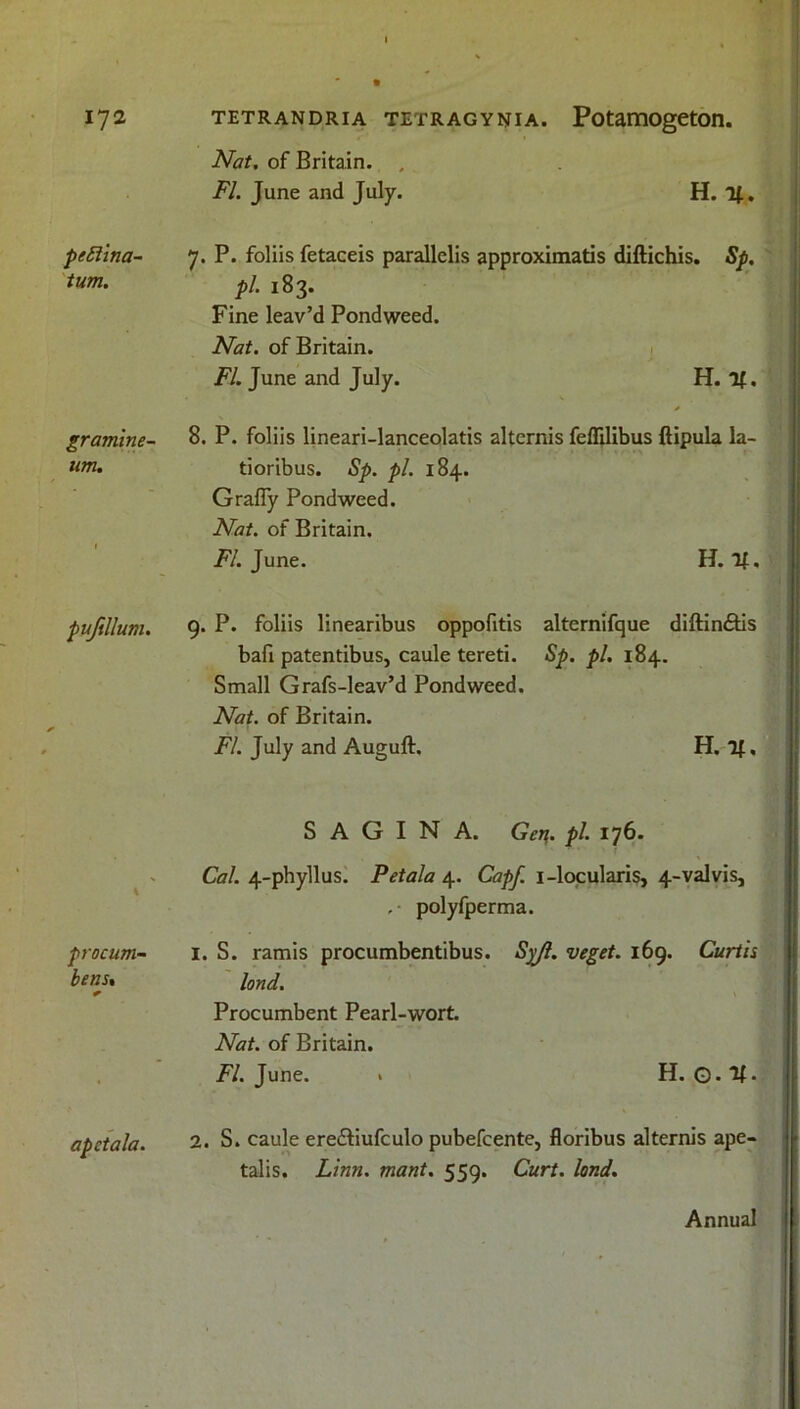 Nat, of Britain. , FI. June and July. H. If.. pettina- 7. P. foliis fetaceis parallclis approximatis diftichis. Sp, turn. pi ^3. Fine leav’d Pondweed. Nat. of Britain. FI. June and July. H. %. gramme- 8. P. foliis lineari-lanceolatis altcrnis feflilibus ftipula la- um. tioribus. Sp. pi. 184. GrafTy Pondweed. Nat. of Britain. FI. June. H. If. pufillum. 9* P* foliis linearibus oppofitis alternifque diftin&is bafi patentibus, caule tereti. Sp. pi. 184. Small Grafs-leav’d Pondweed. Nat. of Britain. FI. July and Auguft. H. If, procum- bens. S A G I N A. Ger\. pi. 176. Cal. 4-phyllus. Petala 4. Capf. i-locularis, 4-valvis, ,• polyfperma. I. S. ramis procumbentibus. Sj//l. veget. 169. Curtis lond. ' 1 Procumbent Pearl-wort. Nat. of Britain. FI. June. > H. ©• “H • apctala. 2. S. caule ere&iufculo pubefcente, floribus alternis ape- talis. Linn. mant. 559. Curt. lond. Annual