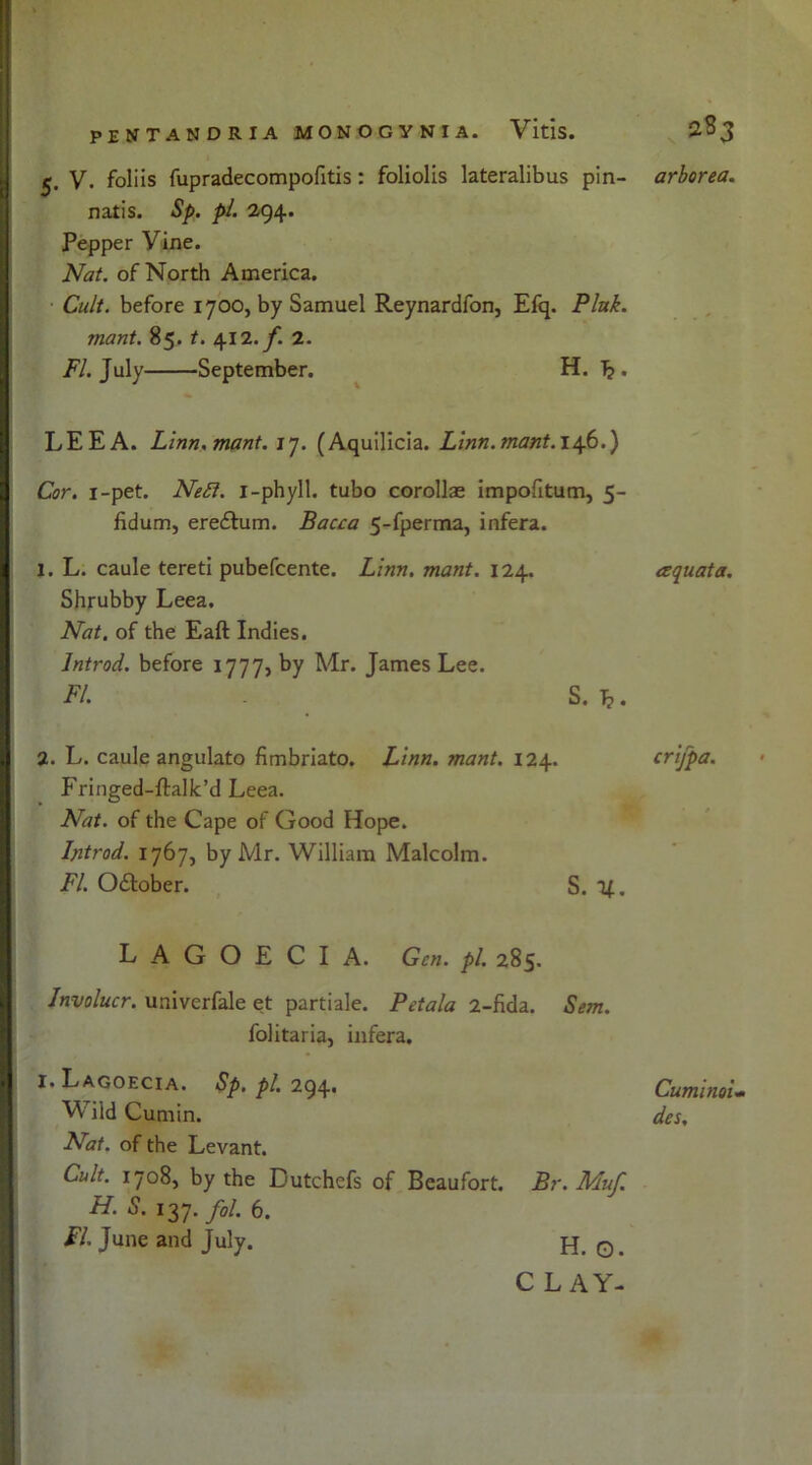 V. foliis fupradecompofitis: foliolis lateralibus pin- natis. Sp. pi. 294. Pepper Vine. Nat. of North America. ■ Cult, before 1700, by Samuel Reynardfon, Efq. Pink, mant. 85. t. 412. f. 2. FI. July September. H. lj . LEE A. Linn.mant. 17. (Aquilicia. Linn. mant. 146.) Cor. 1-pet. Nett, i-phyll. tubo corollae impofitum, 5- fidum, eredtum. Bacca 5-fperma, infera. 1. L. caule tereti pubefcente. Linn. mant. 124. Shrubby Leea. Nat. of the Eaft Indies. lntrod. before 1777, by Mr. James Lee. FI. S. Tj. 2. L. caule angulato fimbriato. Linn. mant. 124. Fringed-ftalk’d Leea. Nat. of the Cape of Good Hope. lntrod. 1767, by Mr. William Malcolm. FI. O&ober. S. 11. LAGOECIA. Gen. pi. 285. Involucr. univerfale et parti ale. P eta la 2-fida. Sem. folitaria, infera. 1. Lagoecia. Sp. pi. 294. Wild Cumin. Nat. of the Levant. Cult. 1708, by the Dutchefs of Beaufort. Br. Muf. H. S. 137. fol. 6. FI June and July. H. O. CLAY- arborea. aquata. crifpa. Cuminoi- des.