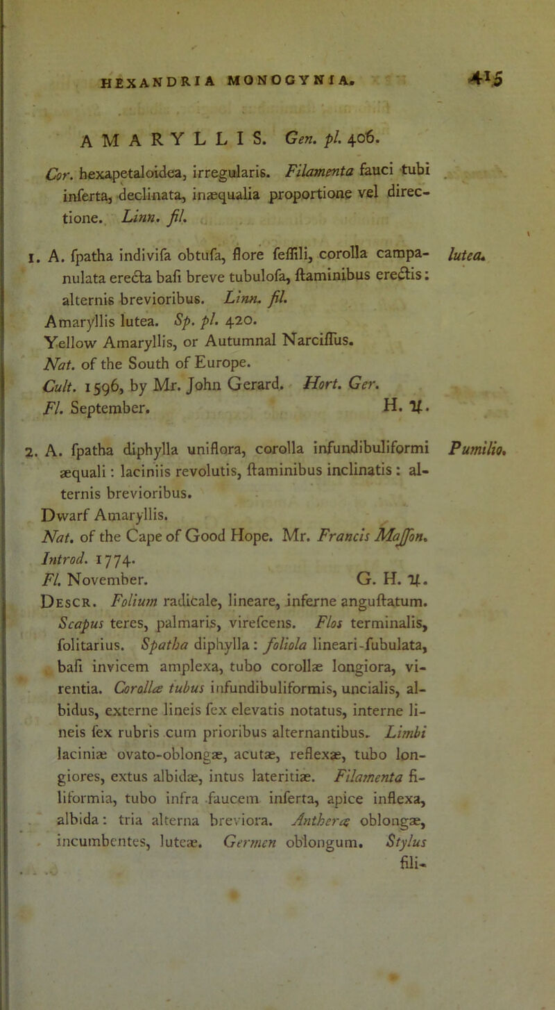 AMARYLLIS. Gen. pi. 406. Cor. hexapetaloidea, irregularis. Filamenta fauci tubi inferta, declinata, inaequalia proportione vel direc- tione. Linn. fil. 1. A. fpatha indivifa obtufa, flore feflili, corolla campa- lutea* nulata erecta bafi breve tubulofa, ftaminibus eredtis: alternis brevioribus. Linn. fil. Amaryllis lutea. Sp. pi. 420. Yellow Amaryllis, or Autumnal Narciflus. Nat. of the South of Europe. Cult. 1596, by Mr. John Gerard. Hort. Ger. FI. September. H. If. 2. A. fpatha diphylla uniflora, corolla infundibuliformi Pumilio. aequali: laciniis revolutis, ftaminibus inclinatis : al- ternis brevioribus. Dwarf Amaryllis. Nat. of the Cape of Good Hope. Mr. Francis Majfion. Introd. 1774. FI. November. G. H. If. Descr. Folium radicale, lineare, inferne anguftatum. Scapus teres, palmaris, virefcens. Flos terminalis, folitarius. Spatha diphylla: foliola lineari-fubulata, baft invicem amplexa, tubo corollae longiora, vi- rentia. Corolla tubus iufundibuliformis, uncialis, al- bidus, externe lineis fex elevatis notatus, interne li- neis fex rubris cum prioribus alternantibus. Limbi lacinia; ovato-oblongae, acutae, refle.xae, tubo lon- giores, extus albidce, intus lateritiae. Filamenta fi- liformia, tubo infra faucem inferta, apice inflexa, albida: tria alterna breviora. Anthera oblongae, incumbcntes, luteae. Gerinen oblongum. Stylus fili-