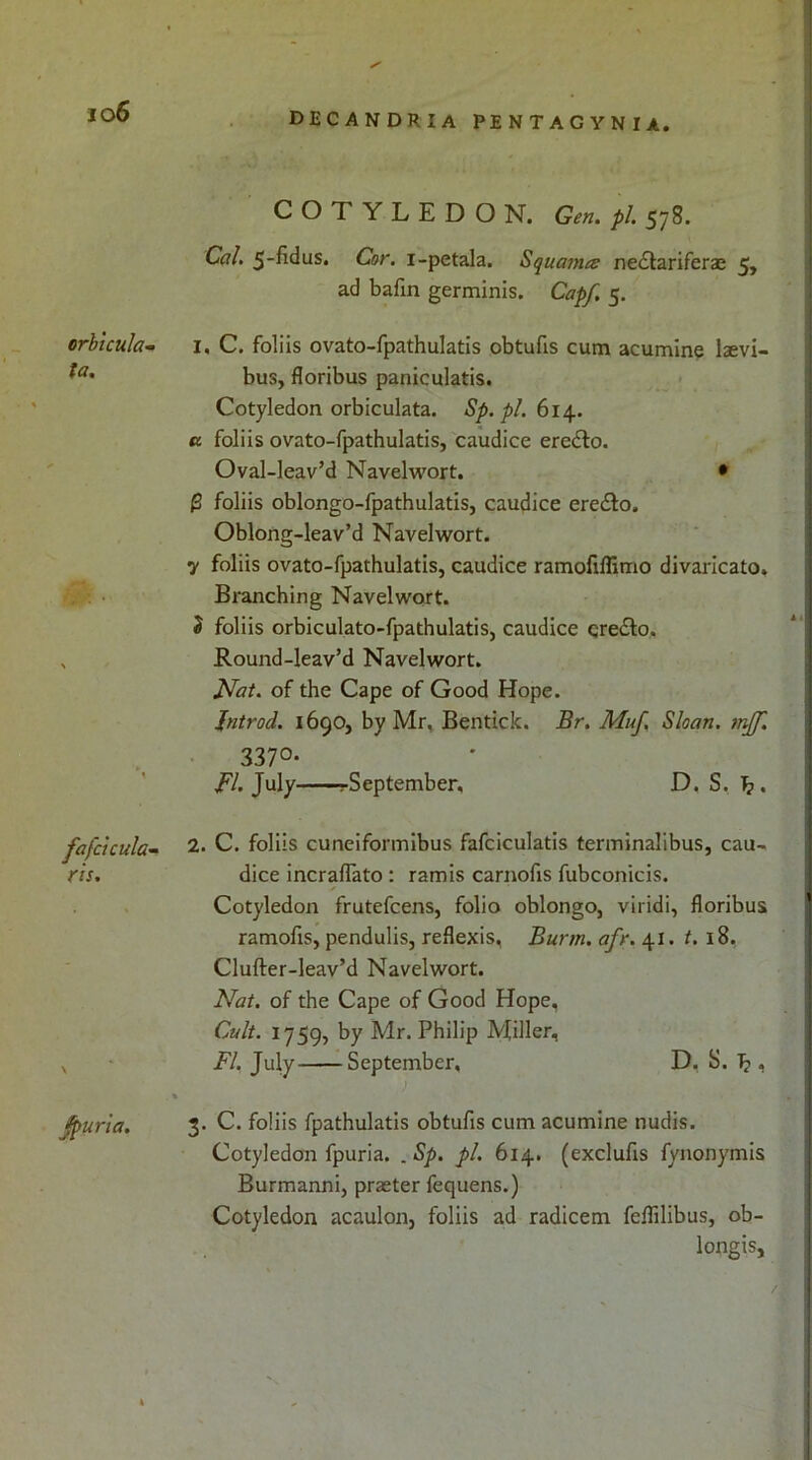 DECANDRIA PENTAGYNIA. jo6 erbtcula^ fa. fafcicula- ris. \ Jpurta. COTYLEDON. Gen. pi. 578. Cal, 5-fidus. Cor. i-petala. Squames ne£lariferae 5, ad bafin germinis. Cap/. 5. 1. C. foliis ovato-fpathulatis obtufis cum acumine laevi- bus, floribus paniculatis. Cotyledon orbiculata. Sp. pi. 614. « foliis ovato-fpathulatis, caudice ereflo. Oval-leav’d Navelwort. • ^ foliis oblongo-fpathulatis, caudice eredlo. Oblong-leav’d Navelwort. 7 foliis ovato-fpathulatis, caudice ramofiffimo divaricato. Branching Navelwort. J foliis orbiculato-fpathulatis, caudice credlo, Round-leav’d Navelwort. Nat. of the Cape of Good Hope. Jntrod. 1690, by Mr, Bentick. Br. Muf. Sloan, tnjf. • 337°- Bl. July rSeptember, D. S, . 2. C. foliis cuneiformibus fafciculatis terminalibus, cau-, dice incraflato : ramis carnofis fubconicis. Cotyledon frutefcens, folio oblongo, viridi, floribus ramofis, pendulis, reflexis, Burm. afr. 41. t. 18, Clufter-leav’d Navelwort. Nat. of the Cape of Good Hope, Cult. 1759, by Mr. Philip Miller-! FI. July September, D, S. ^ , ) 3. C. foliis fpathulatis obtufis cum acumine nudis. Cotyledon fpuria. . Sp. pi, 614. (exclufis fynonymis Burmanni, praeter fequens.) Cotyledon acaulon, foliis ad radicem feflilibus, ob- longis, /. I