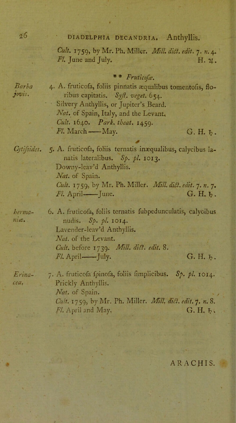 Cult. 1759, by Mr. Ph. Miller. Mill. did. edit. 7. n. 4. FI. June and July. H. If. * * Fruticofee. Barba 4. A. fruticofa, foliis pinnatis aequalibus tomentofis, flo- J°vis. ribus capitatis. Syjl. veget. 654. Silvery Anthyllis, or Jupiter’s Beard. Nat. of Spain, Italy, and the Levant, Cult. 1640. Park, tbeat. 1459. FI. March May. G. H. T?. > Cytifoides. 5. A. fruticofa, foliis ternatis inaequalibus, calycibus ia- natis lateralibus. Sp. pi. 1013. Downy-leav’d Anthyllis. Nat. of Spain. Cult. 1759, by Mr. Ph. Miller. Mill. did. edit. 7. n. 7. / FI. April June. G. H. T?. henna- 6. A. fruticofa, foliis ternatis fubpedunculatis, calyc-ibus niee. nudis. Sp. pi. 1014. Lavender-leav’d Anthyllis. Nat. of the Levant. Cult, before 1739. Mill. did. edit. 8. FI. April July. G. H. J?. Erina- 7. A. fruticofa fpinofa, foliis fimplicibus. Sp. pi. 1014. cea. Prickly Anthyllis. Nat. of Spain. . , Cult. 1759, by Mr. Ph. Miller. Mill. did. edit. 7. n. 8. FI. April and May. G. H. T? . * A R A C HI S.