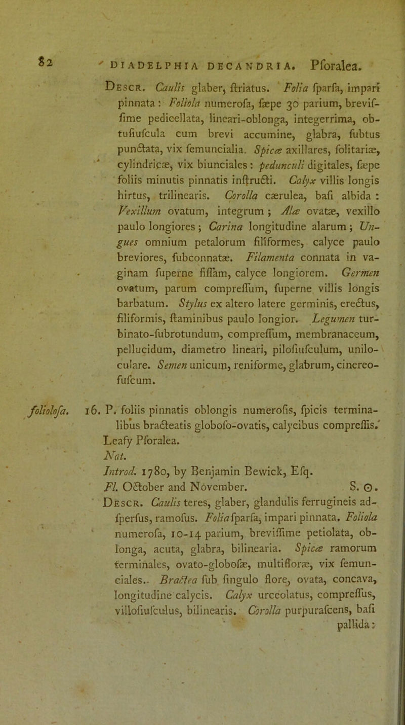 Descr. Caulis glaber, ftriatus. Folia fparfa, impari pinnata : Foliola numcrofa, faepe 30 parium, brevif- fime pediccllata, lincari-oblonga, integerrima, ob- tufiufcula cum brevi accumine, glabra, fubtus punftata, vix femuncialia. Spices axillares, folitariae, cylindrical, vix biunciales : pcdunculi digitales, faepe foliis minutis pinnatis infiru&i. Calyx villis longis hirtus, trilincaris. Corolla caerulea, bafi albida : Vexillurn ovatum, integrum ; Ales ovatae, vexillo paulo longiores ; Carina longitudine alarum ; Un- gues omnium pctalorum filiformes, calyce paulo breviores, fubconnatae. Filamenta connata in va- ginam fuperne fiflam, calyce longiorcm. Germen ovatum, parum comprefTum, fuperne villis longis barbatum. Stylus ex altero latere germinis, ere&us, filiformis, ftaminibus paulo Iongior. Legumen tur- binato-fubrotundum, comprefTum, membranaceum, pellucidum, diametro lineari, pilofiufculum, unilo- culare. Semen unicuifl, reniforme, glabrum, cinereo- fufcum. 1 * foliolofa. 16. P. foliis pinnatis oblongis numerofis, fpicis termina- libus bra£teatis globofo-ovatis, calycibus compreflis.' Leafy Pforalea. Nat. Introd. 1780, by Benjamin Bewick, Efq. FI. OSober and November. S. G. Descr. Caulis teres, glaber, glandulis ferrugineis ad- fperfus, ramofus. Folia fparfa, impari pinnata. Foliola numerofa, 10-14 parium, breviflime petiolata, ob- longa, acuta, glabra, bilinearia. Spices ramorum terminales, ovato-globofae, multiflorae, vix femun- ciales.- Braflea fub fingulo flore, ovata, concava, longitudine calycis. Calyx urceolatus, compreffus, villofiufcitlus, bilinearis. Corolla purpurafcens, bafi pallida: