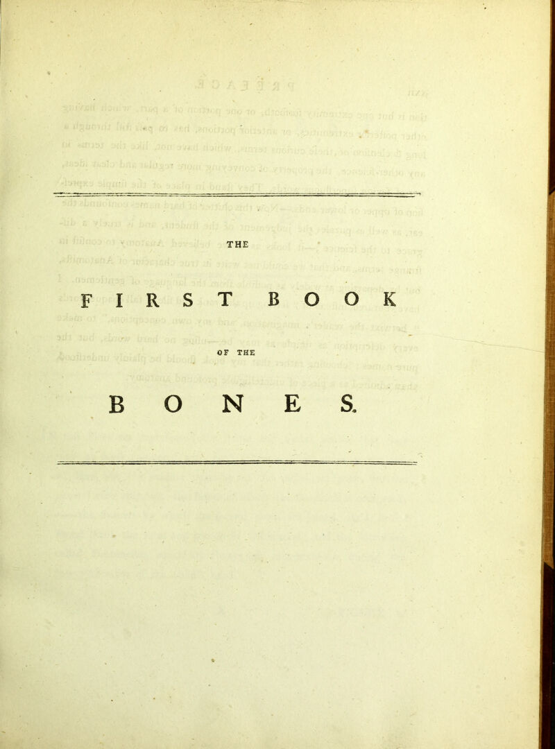 THE FIRST BOOK OF THE BONES,