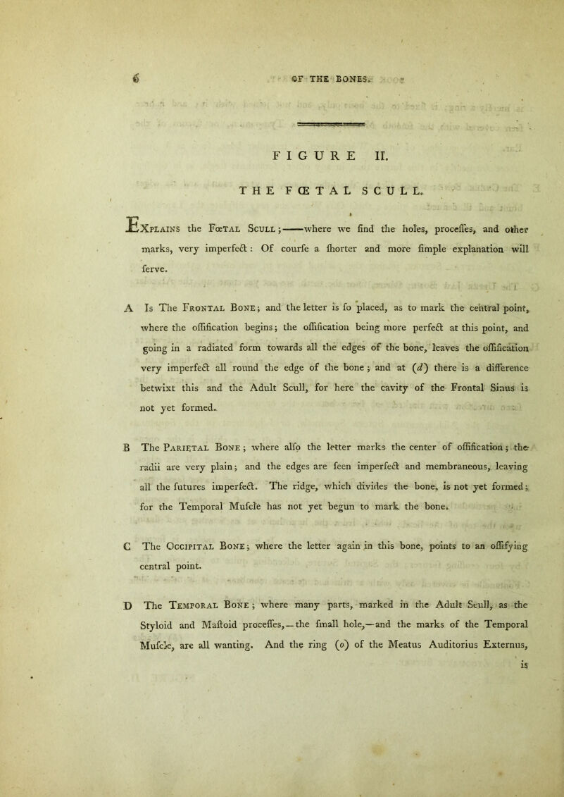 FIGURE II. THE F (E T A L SCULL, * Explains the Foetal Scull;- where we find the holes, procefles, and othe? marks, very imperfect: Of courfe a Ihorter and more Ample explanation will ferve. A Is The Frontal Bone; and the letter is fo placed, as to mark the central point, where the ofiification begins; the ofiification being more perfett at this point, and going in a radiated form towards all the edges of the bone, leaves the ofiification very imperfe£l all round the edge of the bone ; and at (oZ) there is a difference betwixt this and the Adult Scull, for here the cavity of the Frontal Sinus is not yet formed.. B The Parietal Bone ; where alfo the letter marks the center of ofiification; the- radii are very plain; and the edges are feen imperfe£t and membraneous, leaving all the futures imperfeft. The ridge, which divides the bone, is not yet formed; for the Temporal Mufcle has not yet begun to mark the bone, C The Occipital Bone; where the letter again in this bone, points to an ofiifying central point. D The Temporal Bone ; where many parts, marked in the Adult Scull, as the Styloid and Maftoid procefles, —the fmall hole,—and the marks of the Temporal Mufcle, are all wanting. And the ring (o) of the Meatus Auditorius Externus, is