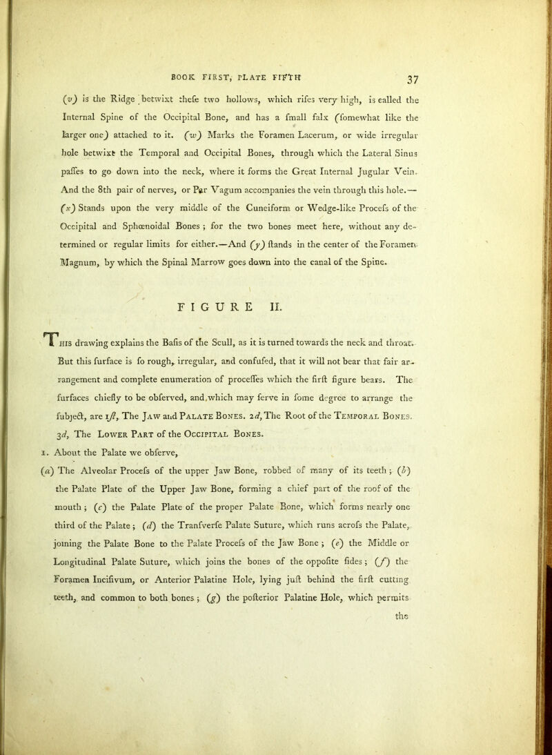 (v) is the Ridge betwixt thefe two hollows, which rifes very high, is called the Internal Spine of the Occipital Bone, and has a fmall falx (Tomewhat like the larger onej attached to it. (w) Marks the Foramen Lacerum, or wide irregular hole betwixt the Temporal and Occipital Bones, through which the Lateral Sinus paffes to go down into the neck, where it forms the Great Internal Jugular Vein. And the 8th pair of nerves, or Par Vagum accompanies the vein through this hole.— (x) Stands upon the very middle of the Cuneiform or Wedge-like Procefs of the Occipital and Sphoenoidal Bones ; for the two bones meet here, without any de- termined or regular limits for either.—And (y) Hands in the center of the Foramen Magnum, by which the Spinal Marrow goes dawn into the canal of the Spine. FIGURE II. HP a his drawing explains the Balls of the Scull, as it is turned towards the neck and throat. But this furface is fo rough,, irregular, and confufed, that it will not bear that fair ar- rangement and complete enumeration of procefles which the firft figure bears. The furfaces chiefly to be obferved, and.which may ferve in fome degree to arrange the fubjeft, are 1ft. The Jaw and Palate Bones, id, The Root of the Temporal Bones. 3d, The Lower Part of the Occipital Bones. 1. About the Palate we obferve, (a) The Alveolar Procefs of the upper Jaw Bone, robbed of many of its teeth ; (l) the Palate Plate of the Upper Jaw Bone, forming a chief part of the roof of the mouth ; (c) the Palate Plate of the proper Palate Bone, which forms nearly one third of the Palate ; (d~) the Tranfverfe Palate Suture, which runs acrofs the Palate, joining the Palate Bone to the Palate Procefs of the Jaw Bone ; (e) the Middle or Longitudinal Palate Suture, which joins the bones of the oppofite fides ; (J~) the Foramen Incifivum, or Anterior Palatine Hole, lying juft behind the firft cutting teeth, and common to both bones ; (g) the pofterior Palatine Hole, which permits the