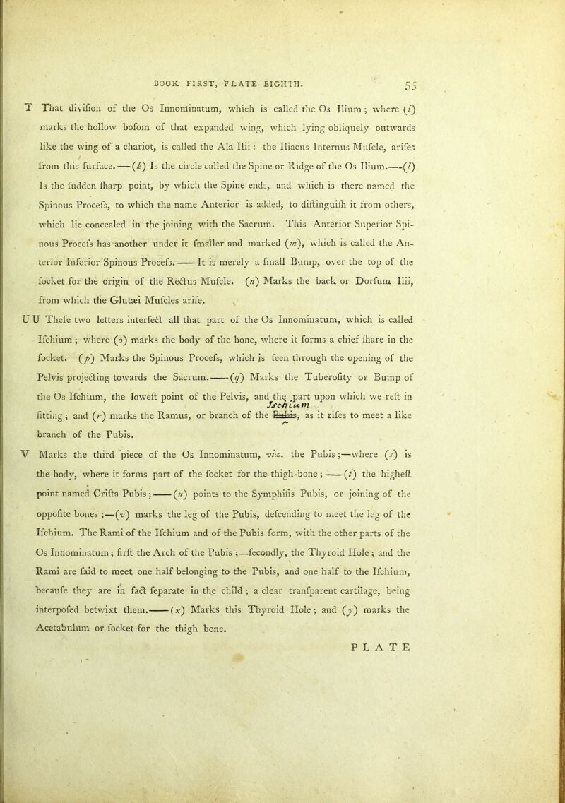 DO T That divifton of the Os Innominatum, which is called the Os Ilium ; where (i) marks the hollow bofom of that expanded wing, which lying obliquely outwards like the wing of a chariot, is called the Ala Ilii : the Iliacus Interims Mufcle, arifes from this furface. — (k) Is the circle called the Spine or Ridge of the Os Ilium. (/) Is the fudden lliarp point, by which the Spine ends, and which is there named the Spinous Procefs, to which the name Anterior is added, to diftinguilh it from others, which lie concealed in the joining with the Sacrum. This Anterior Superior Spi- nous Procefs has another under it fmaller and marked (in'), which is called the An- terior Inferior Spinous Procefs. It is merely a fmall Bump, over the top of the focket for the origin of the Reftus Mufcle. (11) Marks the back or Dorfum llii, from which the Glutsei Mufcles arife. U U Thefe two letters interfeft all that part of the Os Innominatum, which is called Ifchium ; where (o') marks the body of the bone, where it forms a chief lhare in the focket. (p) Marks the Spinous Procefs, which js feen through the opening of the Pelvis projecting towards the Sacrum »(y) Marks the Tuberofity or Bump of the Os Ifchium, the loweft point of the Pelvis, and the .part upon which we reft in Jsch.uA.vi fitting ; and (r) marks the Ramus, or branch of the Rafe, as it rifes to meet a like A branch of the Pubis. V Marks the third piece of the Os Innominatum, viz. the Pubis ;—where (j) is the body, where it forms part of the focket for the thigh-bone ; (t) the higheft point named Crifta Pubis; (u) points to the Symphifts Pubis, or joining of the oppoftte bones ;—(w) marks the leg of the Pubis, defcending to meet the leg of the Ifchium. The Rami of the Ifchium and of the Pubis form, with the other parts of the Os Innominatum ; firft the Arch of the Pubis ;—fecondly, the Thyroid Hole ; and the Rami are faid to meet one half belonging to the Pubis, and one half to the Ifchium, becaufe they are in fa<5l feparate in the child ; a clear tranfparent cartilage, being interpofed betwixt them. (x) Marks this Thyroid Hole; and (j) marks the Acetabulum or focket for the thigh bone.